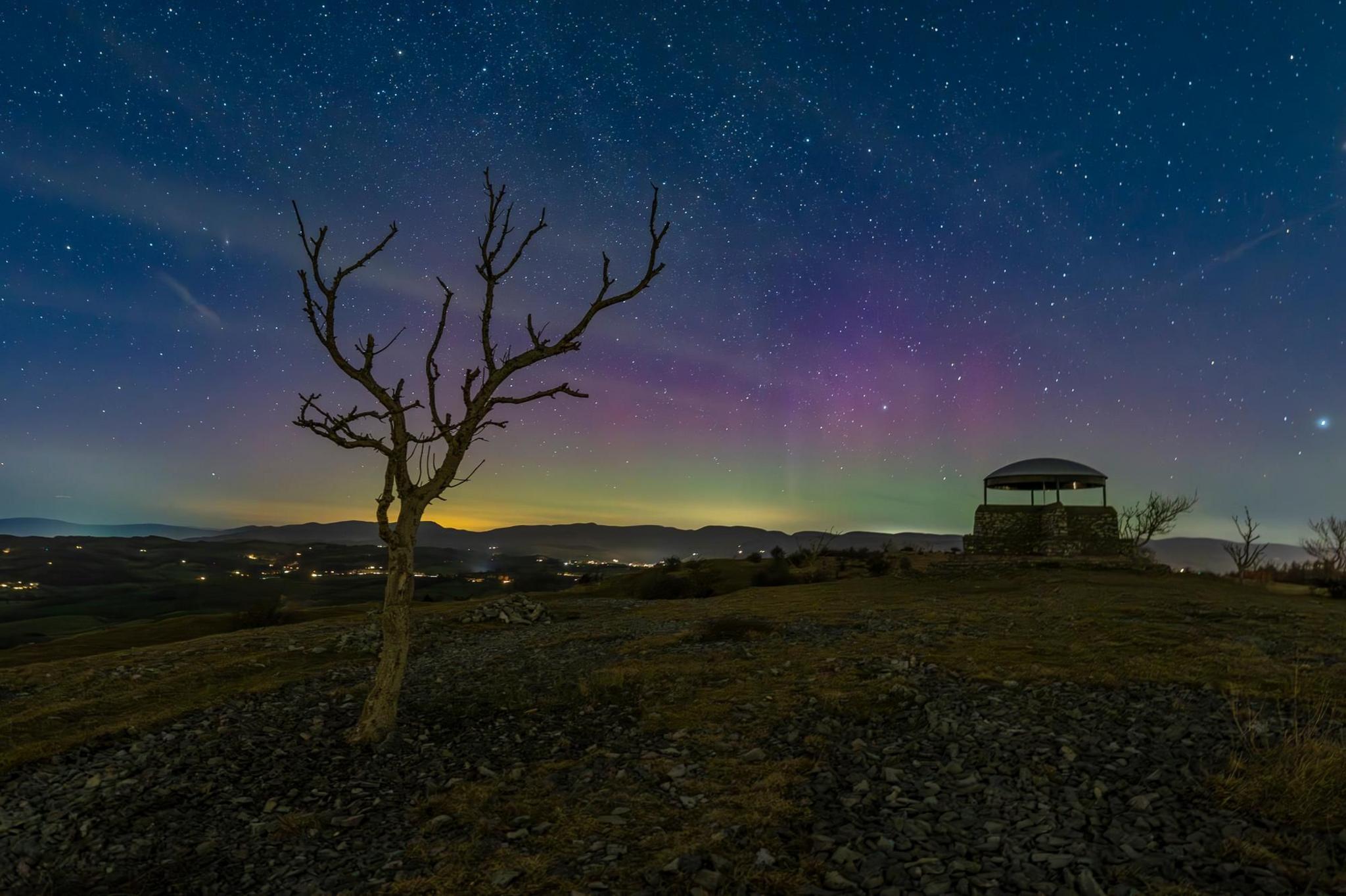 Tree in field silouttded against colourful nights sky