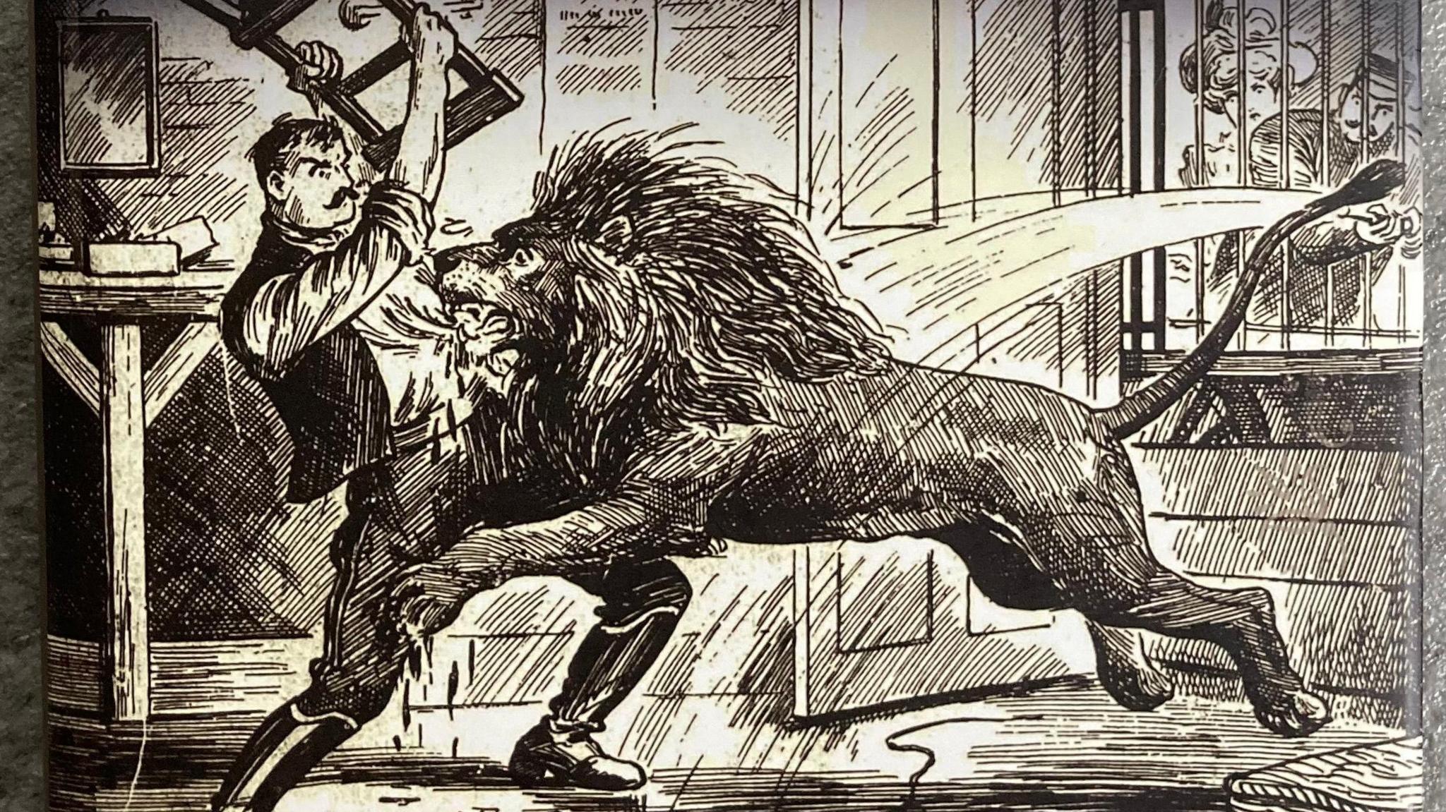 A cropped section of the book's front cover, showing a cross-hatch sketch of a lion leaping towards a man and tearing at his shirt with its teeth. The man is holding a chair above his head to strike the animal with, while a policeman outside sprays it with a hose through the bars of the window.