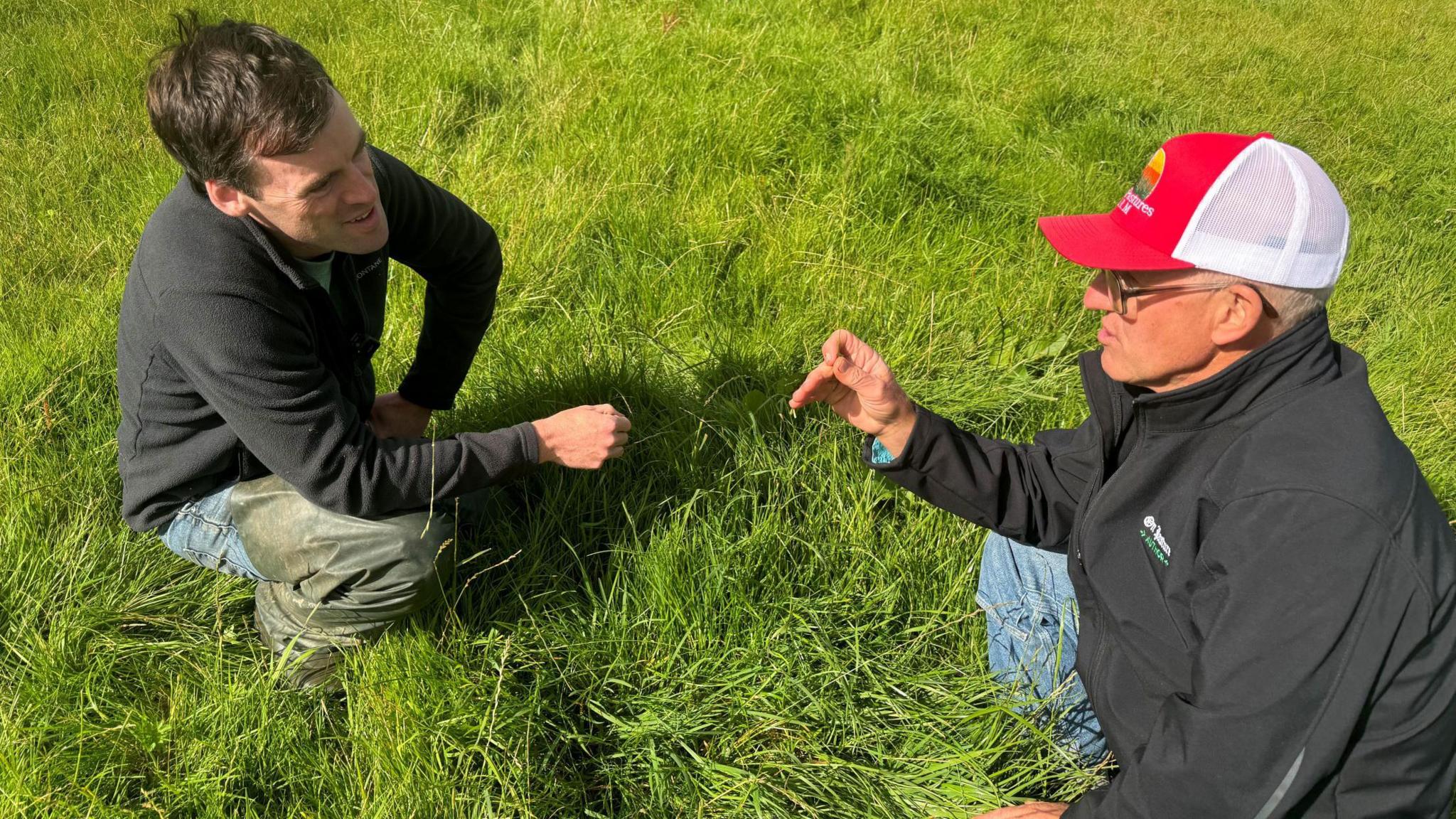 Two men seen from above, chatting animatedly while hunkering down on a lush field of grass