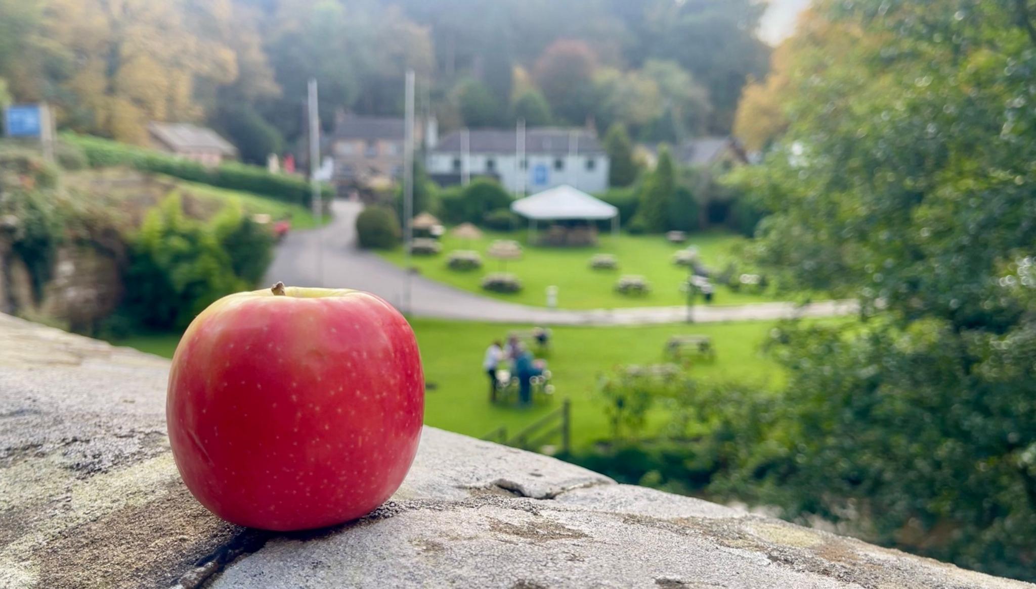 A red apple sits on a stone wall. In blurred focus, the background includes two pubs, a large green with picnic benches and trees.