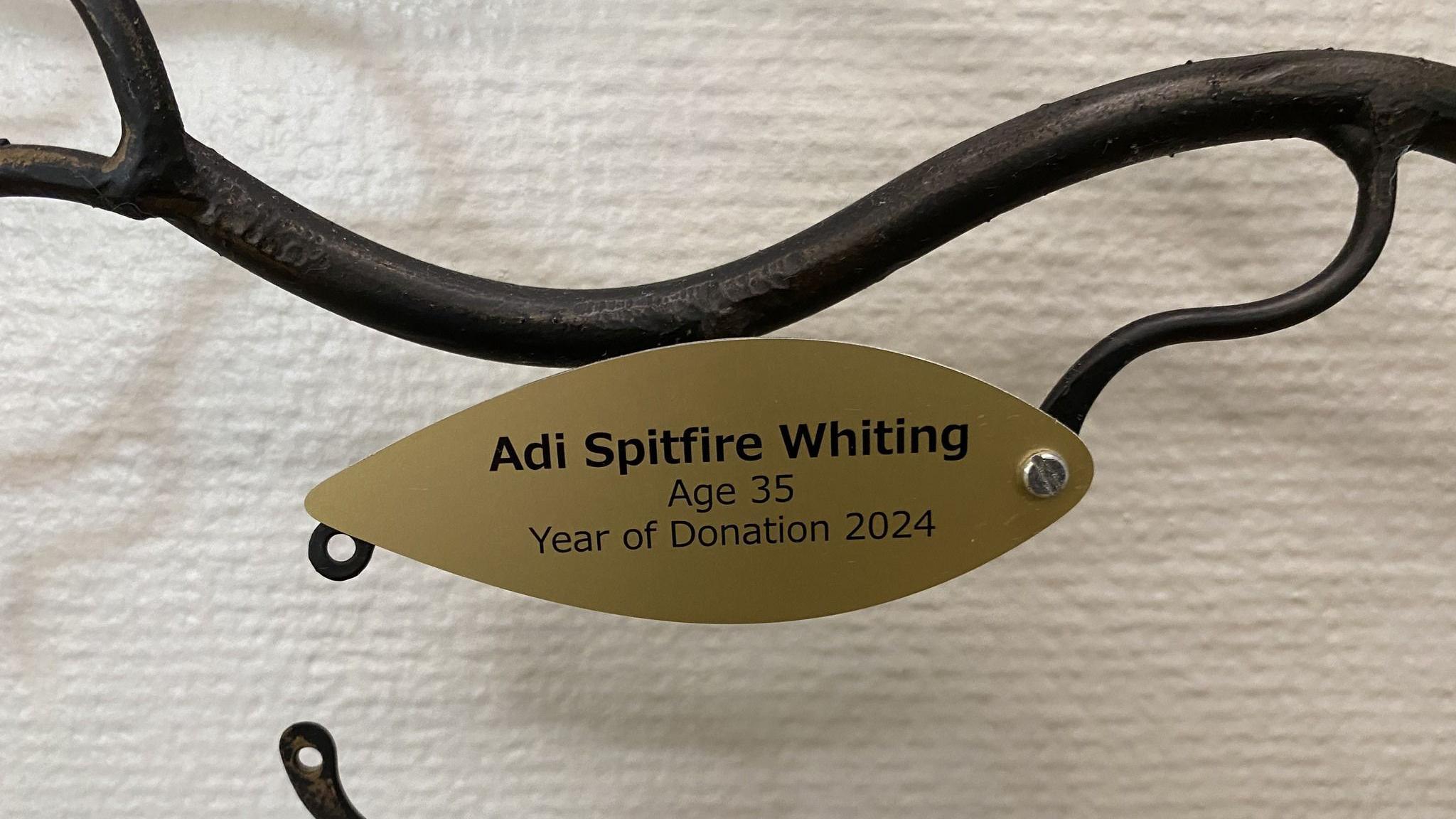 A gold metal leaf, screwed to a branch on a memorial tree, reads: Adi Spitfire Whiting, age 35, year of donation 2024.