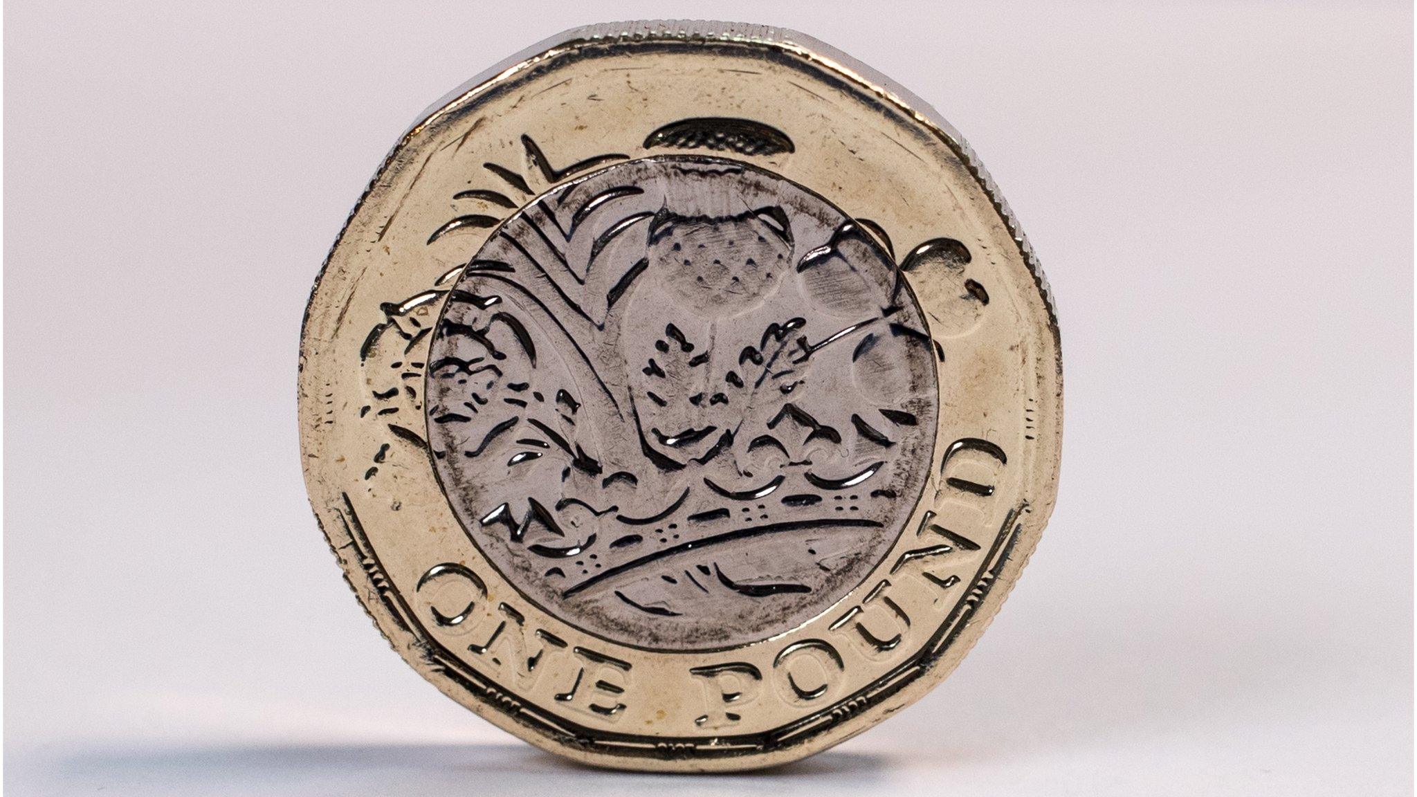 Pound coin