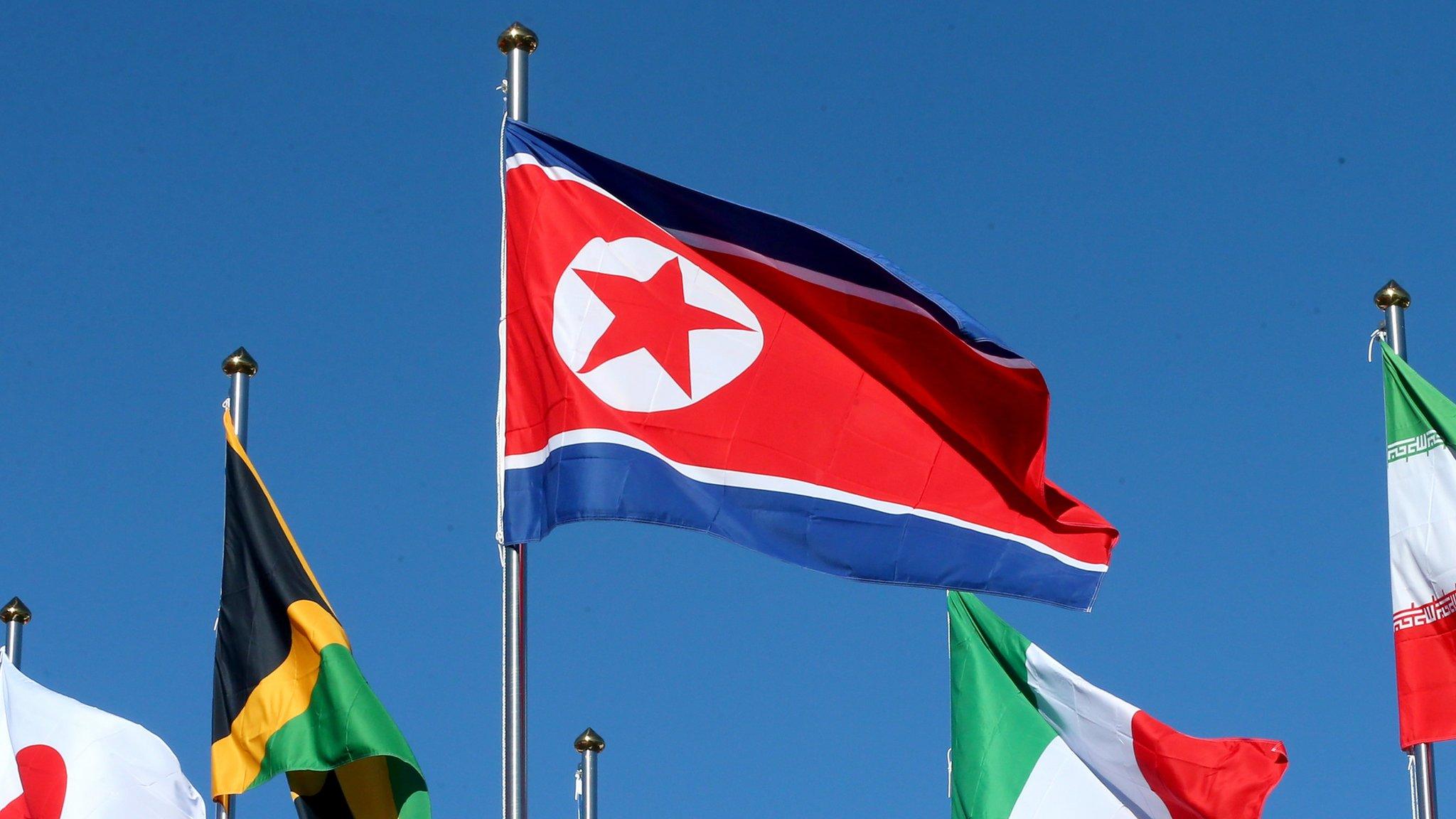 North Korea flag