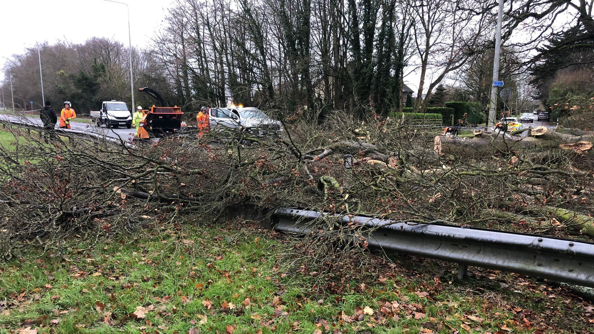 closer view of twigs and branches cut up in pieces as crews deal with the tree across the carriageway