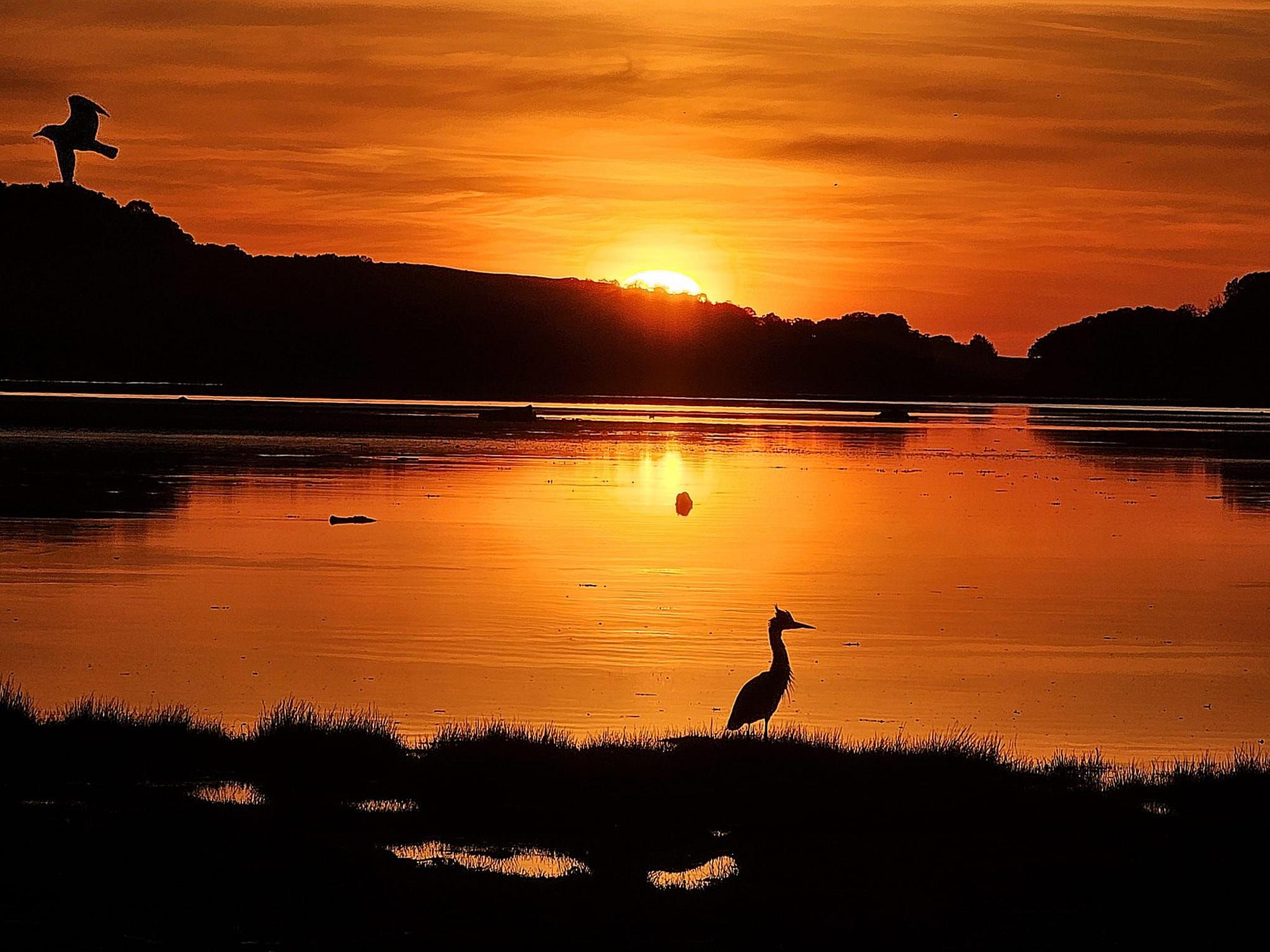 A sunset, with the sun just visible below the horizon. It casts an orange light over a loch, with the hills and grass around it in darkness, and various birds also in shadow.