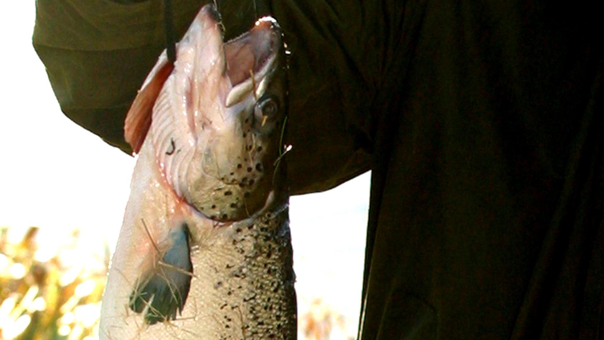 man holding salmon