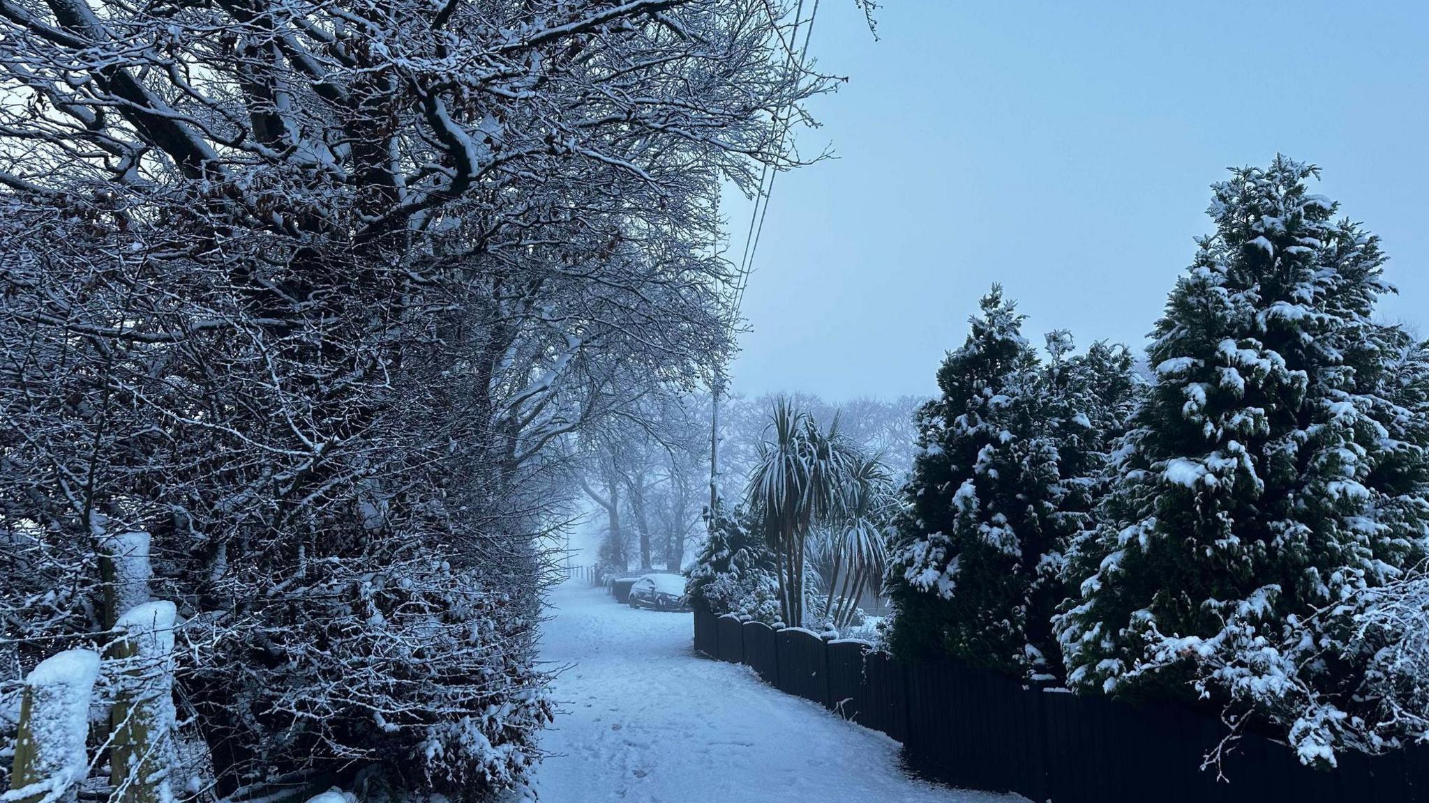 Snow covers a lane, trees and a black fence. There is a car in the background covered in snow.