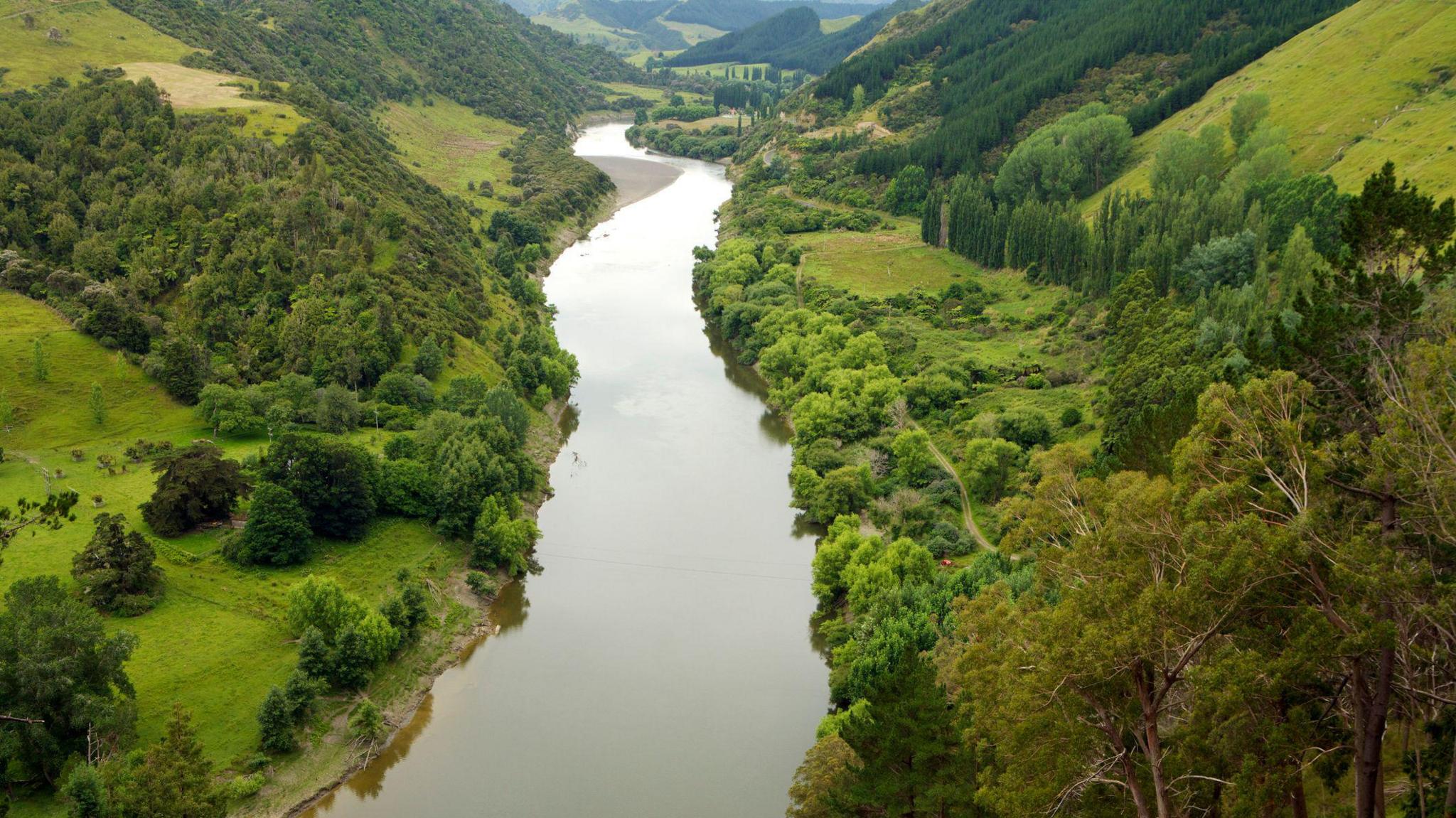 Whanganui River from above