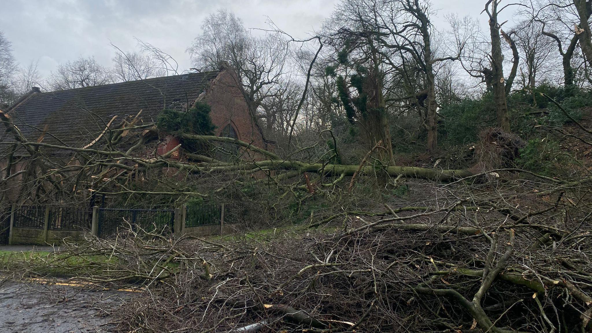 A derelict church building next to a woodland with bare trees, and lots of branches on the ground. The tree has gone into the back of the church, causing damage to red bricks on the roof