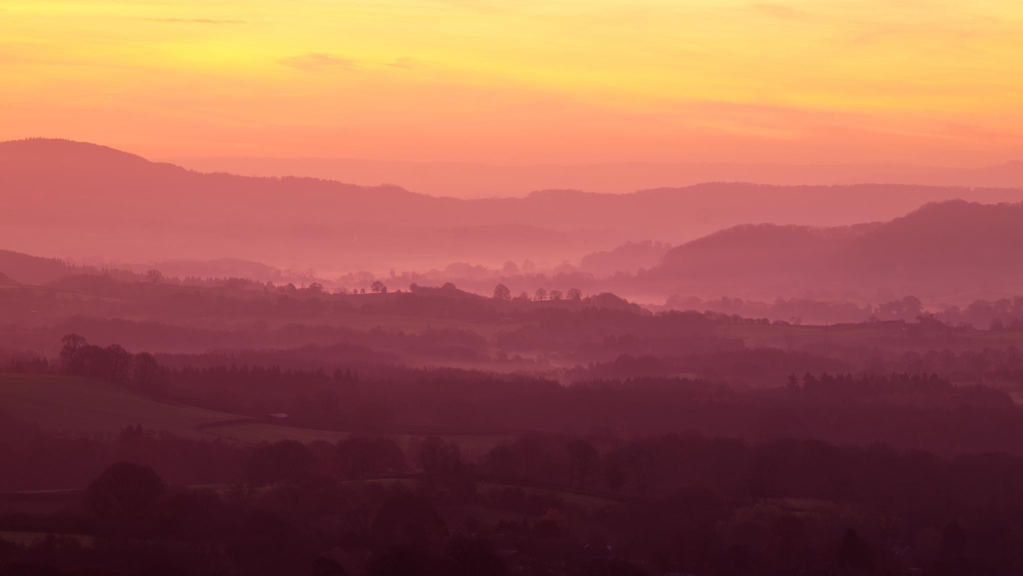 An orange sky presides over a landscape of fields and trees, gradually darkening the closer we get to the camera. A thin layer of mist has settled over low-lying parts of the shot. 