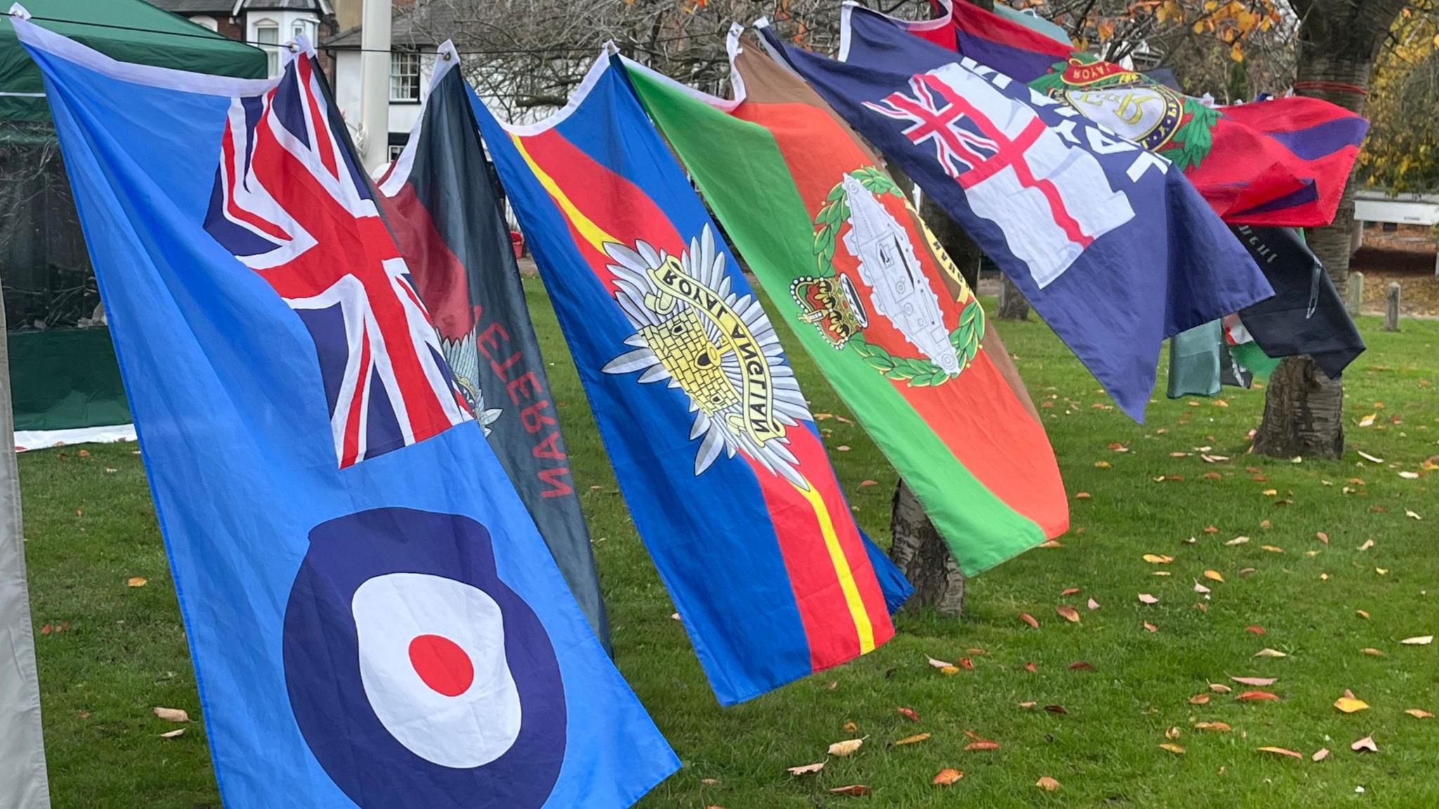 Military flags hang from a line in a park. They are various different colours have some national flags on them and military emblems on them.