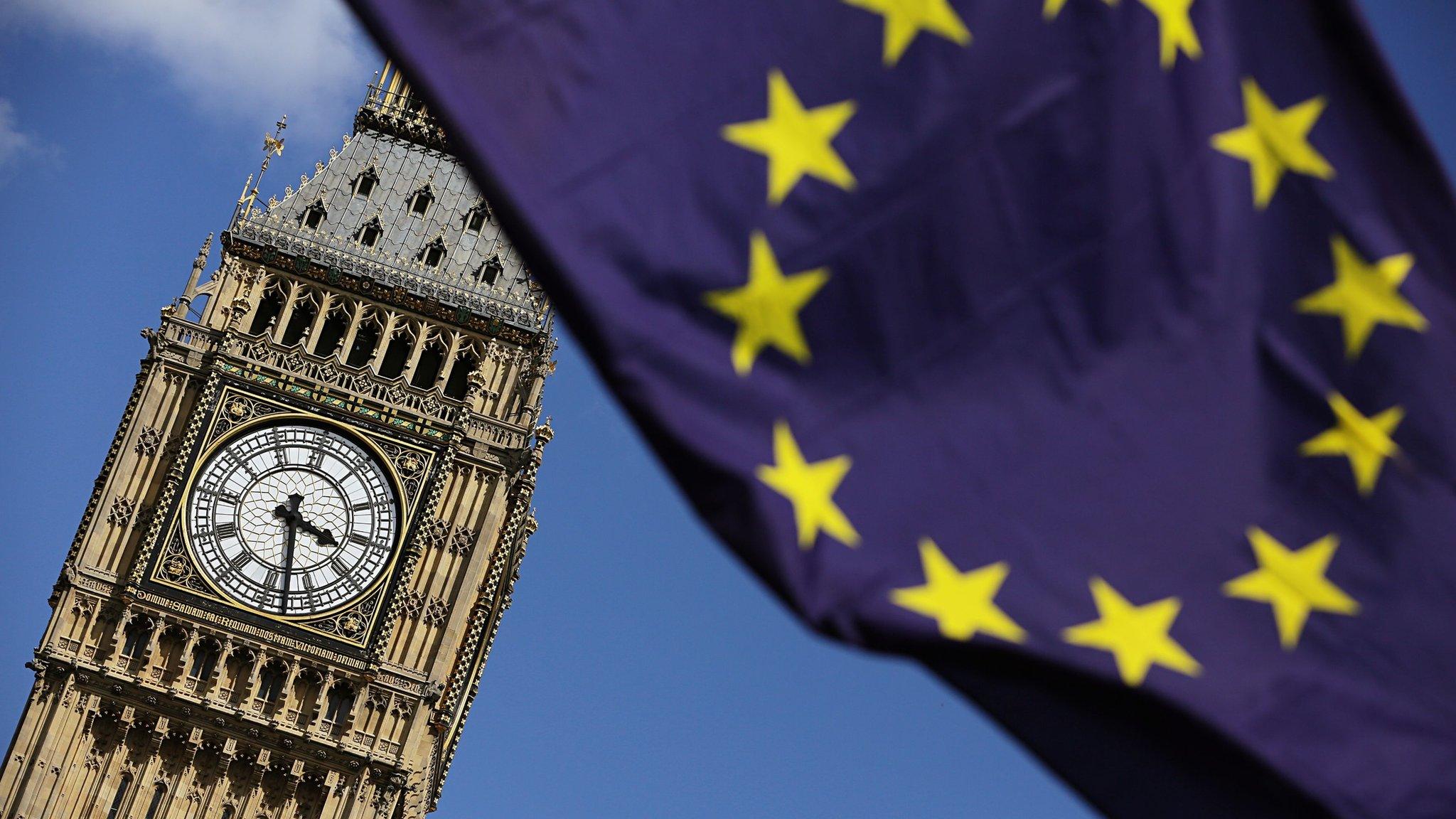 Houses of Parliament and EU flag