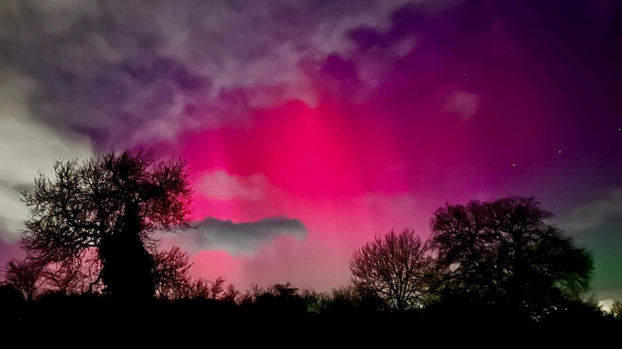 An evening sky with purple and pink hues and stars with bare winter trees below