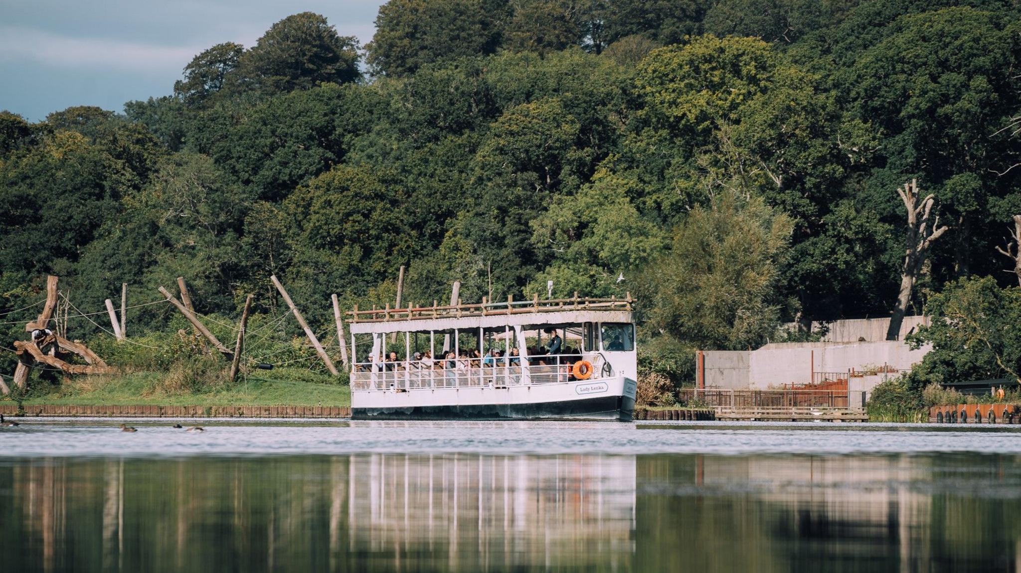 The jungle cruise boat floating down the lake on a sunny day. Behind it you can see the gorilla enclosure, with wooden climbing frames. The lake is surrounded by thick woodland.