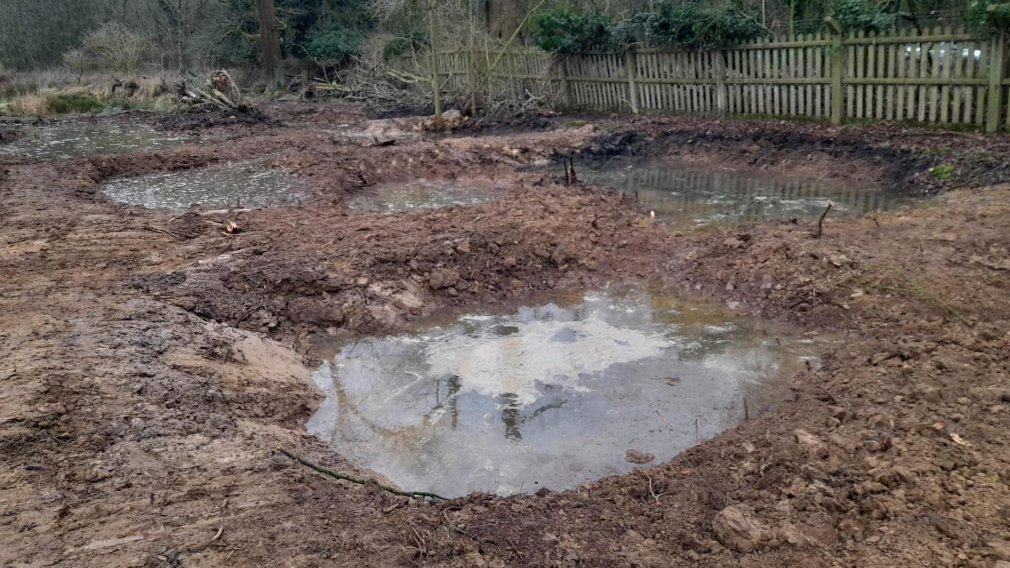 A series of small ponds with scum on top dur into a muddy site. There is a wooden picket fence in the background. 