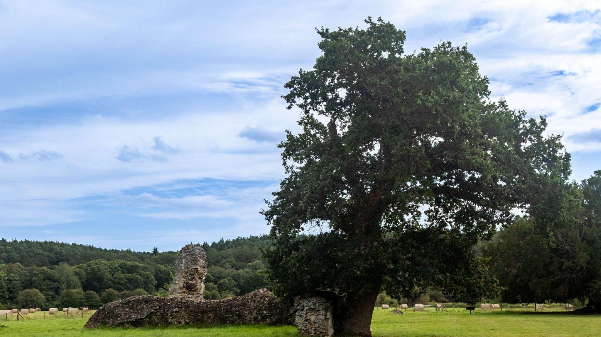 A landscape, the sky is blue with a few white clouds. There is a green leafy tree at the right of the image and some stone next to it. There are lots of trees in the background. 