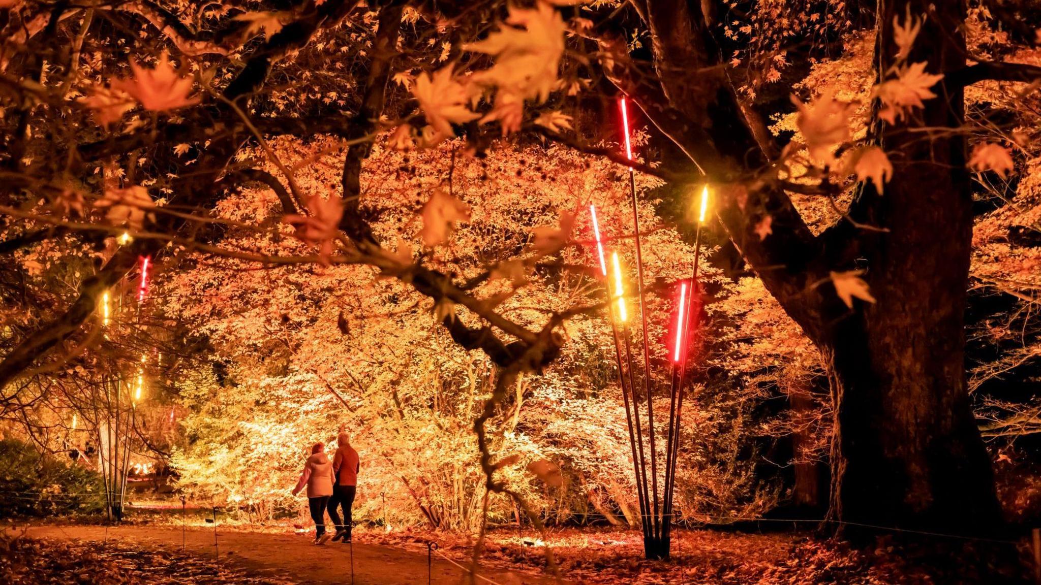 Two people walk together on a path through trees which are lit from below. There are 7ft-tall poles with lights attached to look like reeds in the foreground.