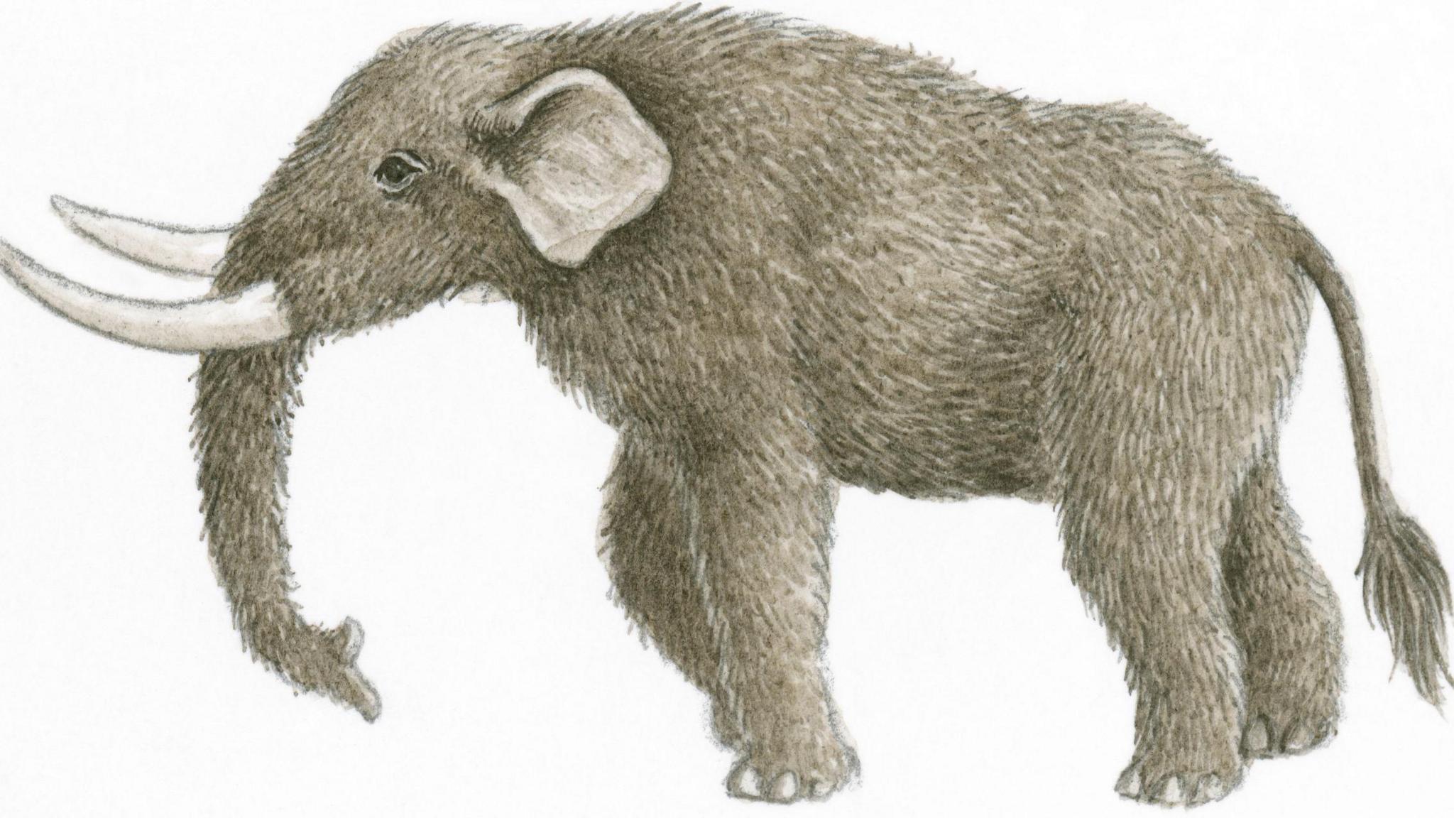 An illustration of a mastodon