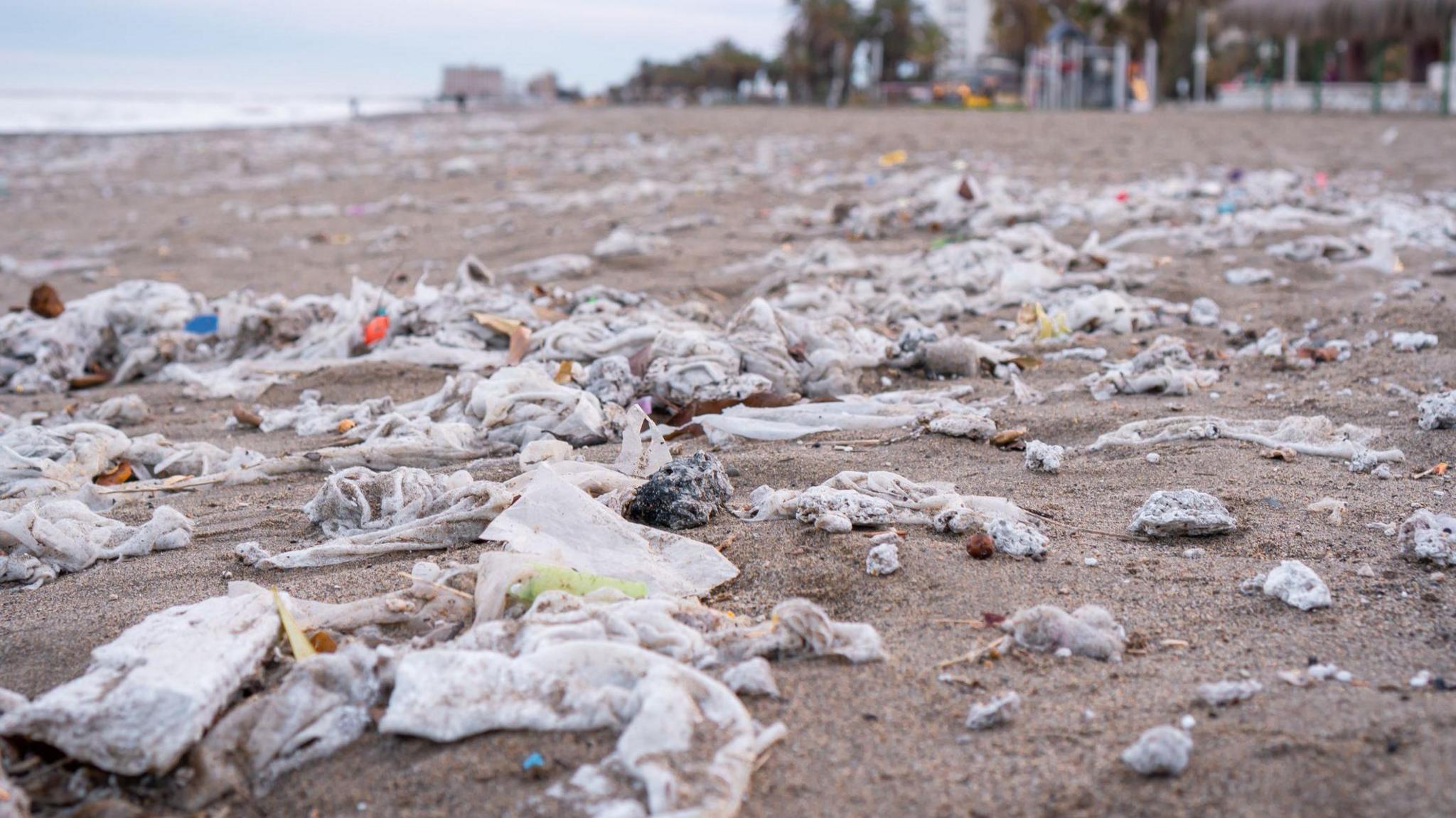 Used wet wipes are scattered across an entire beach