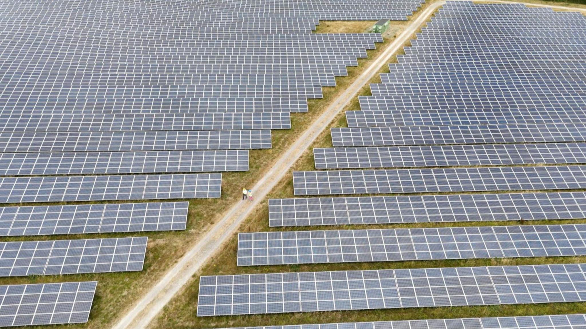 Aerial image of reporter and Michael Bax walking down a path between rows of solar panels