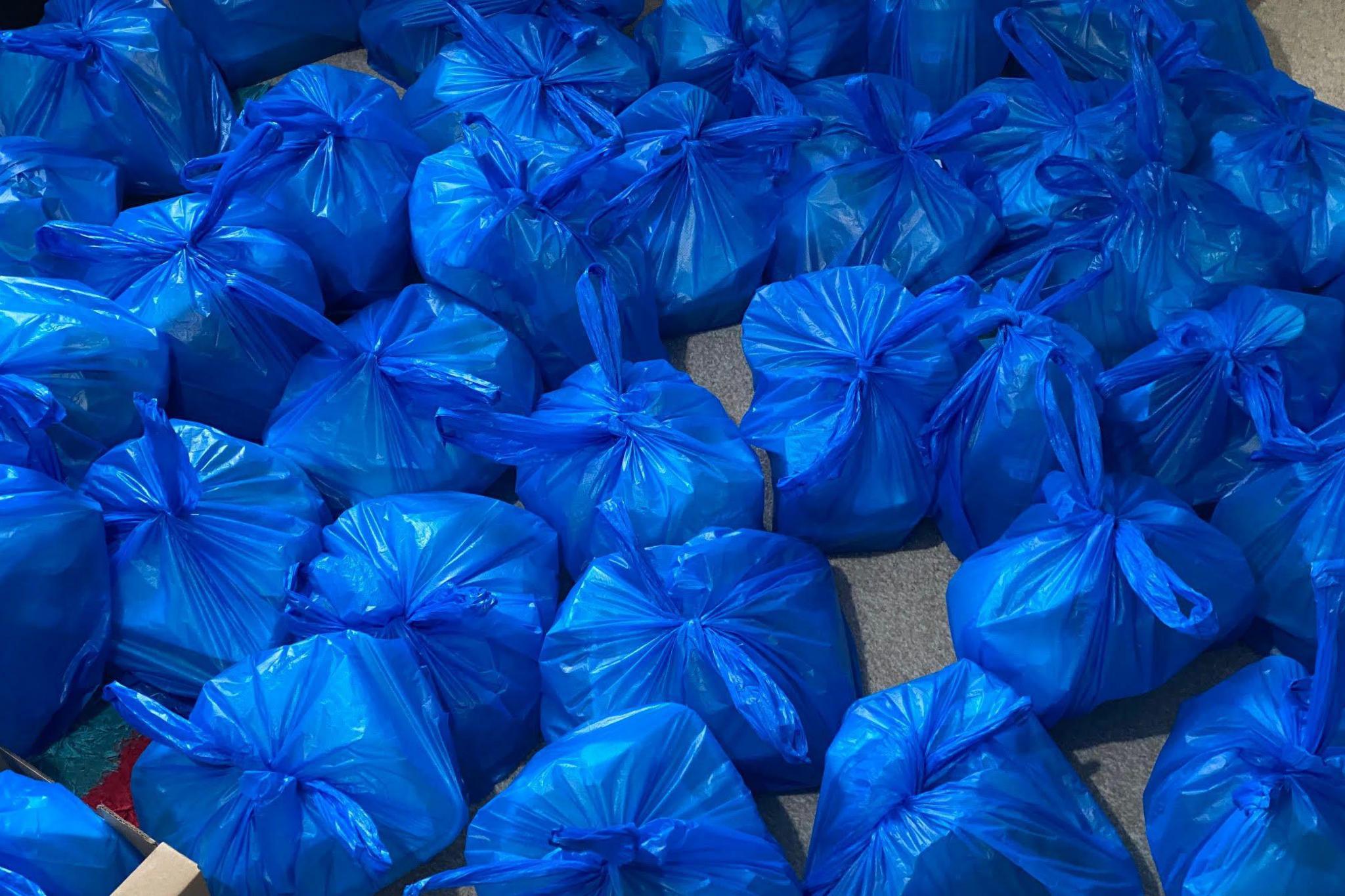 Rows of blue carrier bags full of food are laid out on the floor.