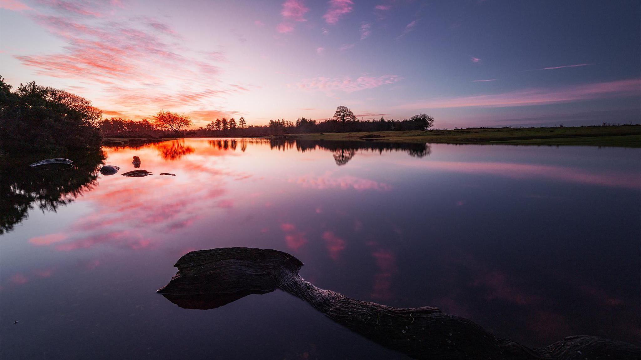 A sunrise over a body of still water. There are purple clouds and a purple sky reflected in the water. On the far bank the sun is glowing orange and there are trees in silhouette.