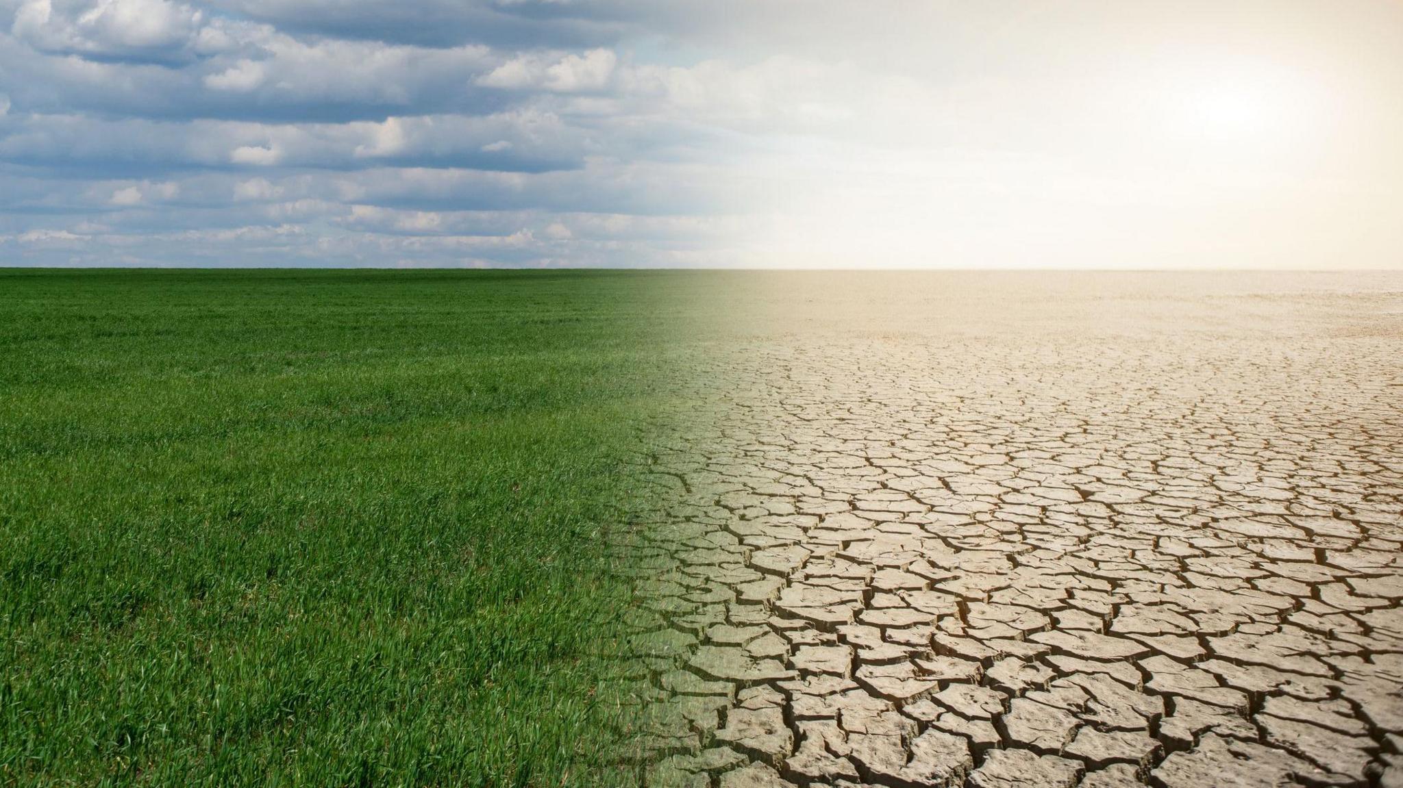Half non-drought, half drought photo of a field