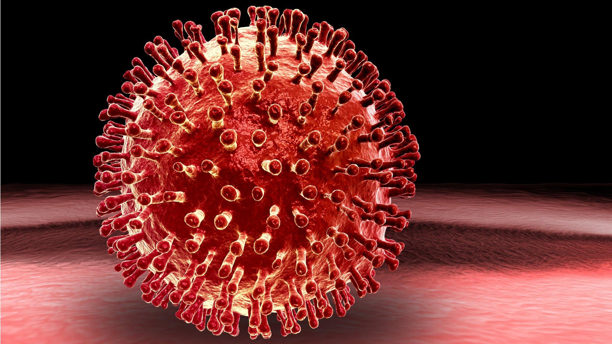 Virus