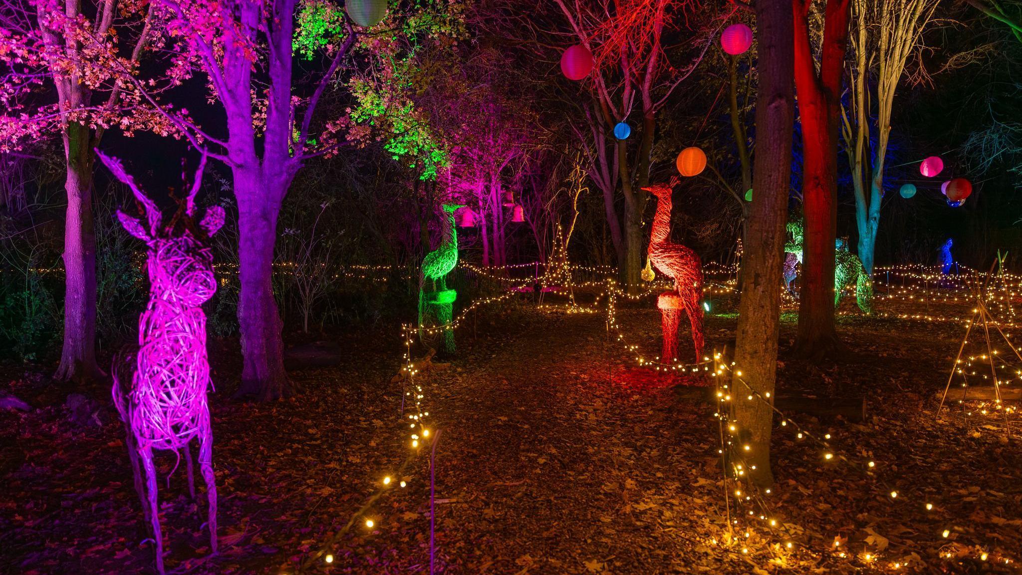 Trees in the park are decorated with colourful lightin  and there are animal sculptures along the path