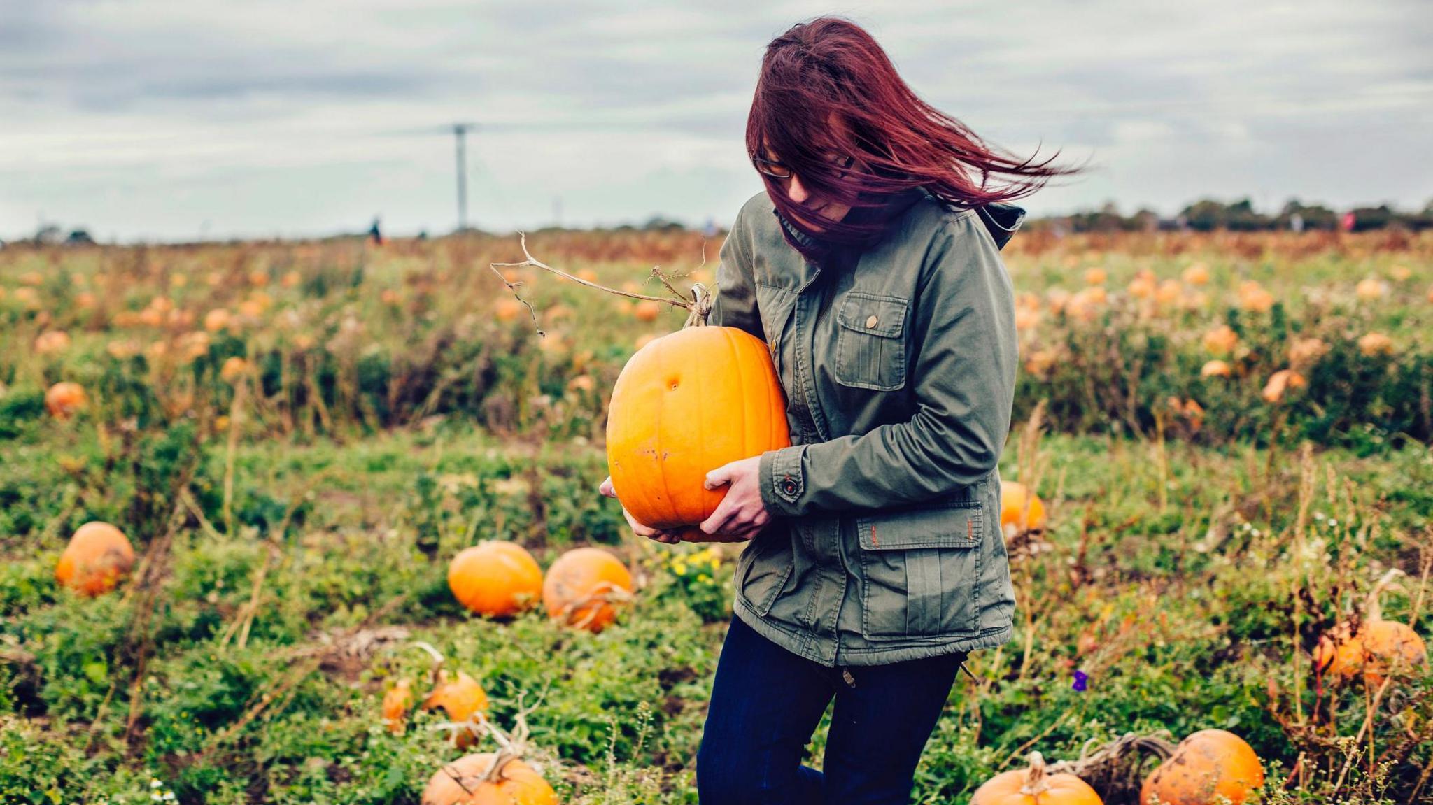 A woman carrying a pumpkin in a pumpkin patch. She has red hair, wearing a green wax jacket and dark blue jeans. Her hair is blowing over her face.