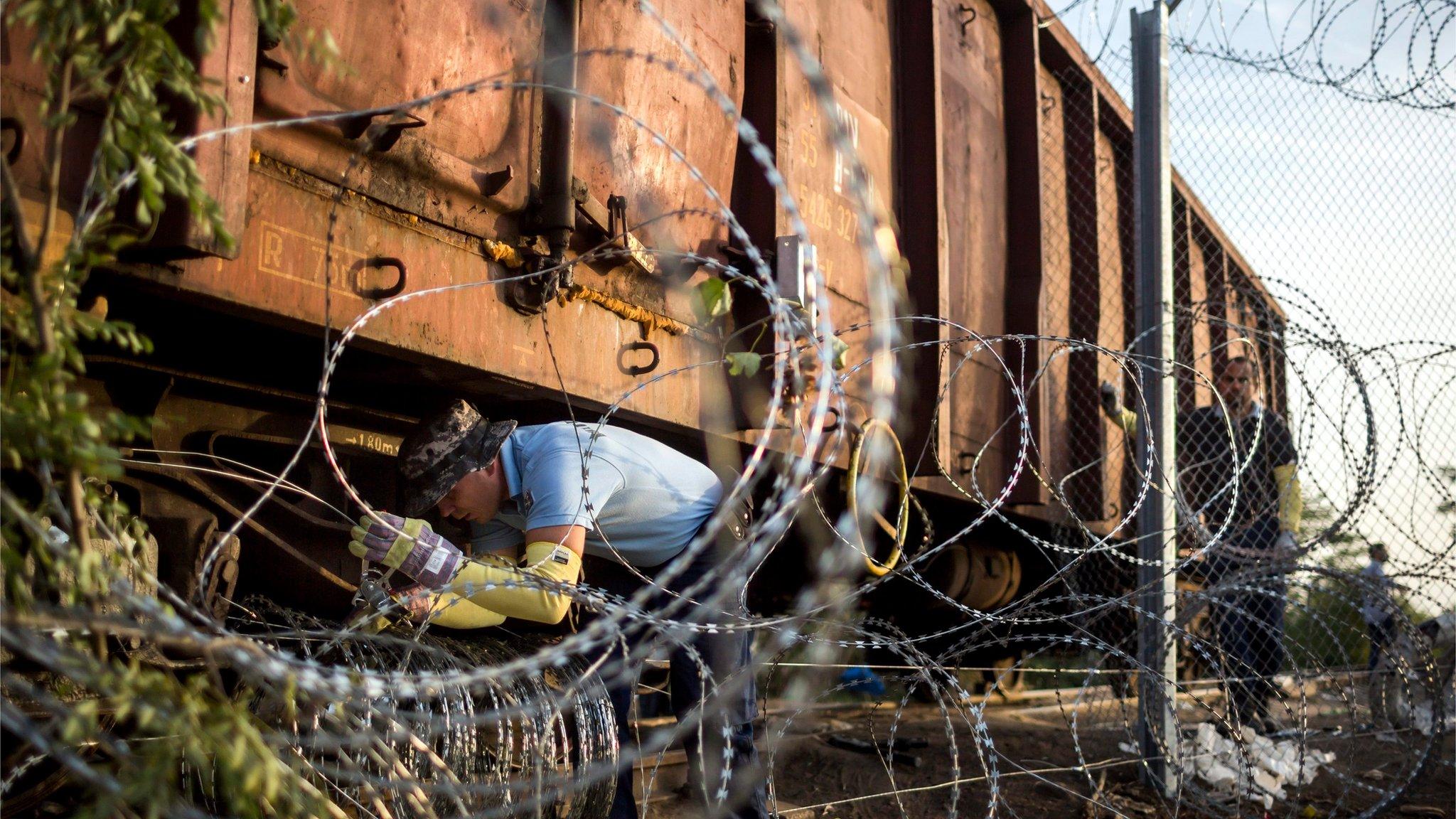 Razor wire being installed near Roszke on the Hungary-Serbia border, 15 September 2015