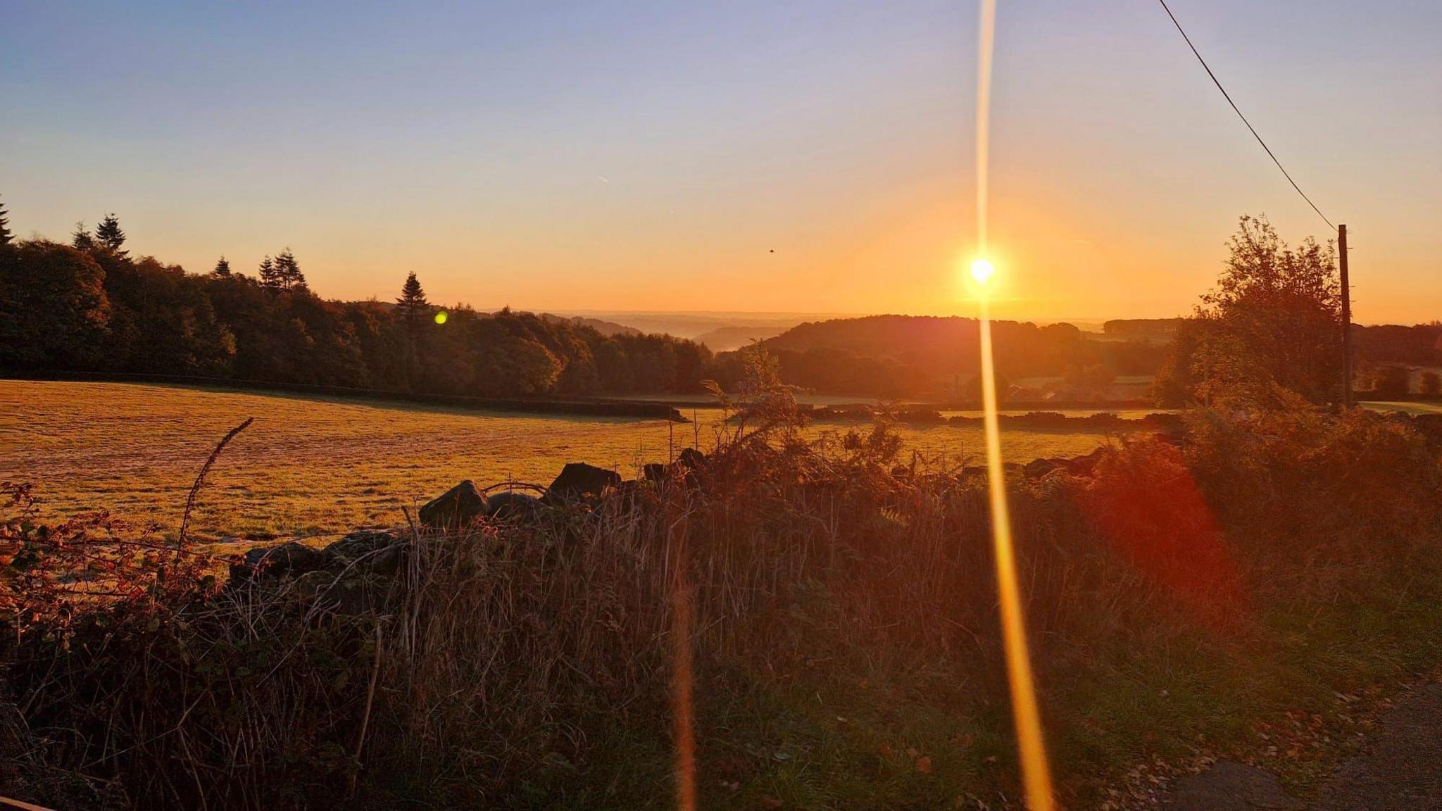 The new land Grith Pioneers is purchasing. It is a photograph of a field with the sun setting