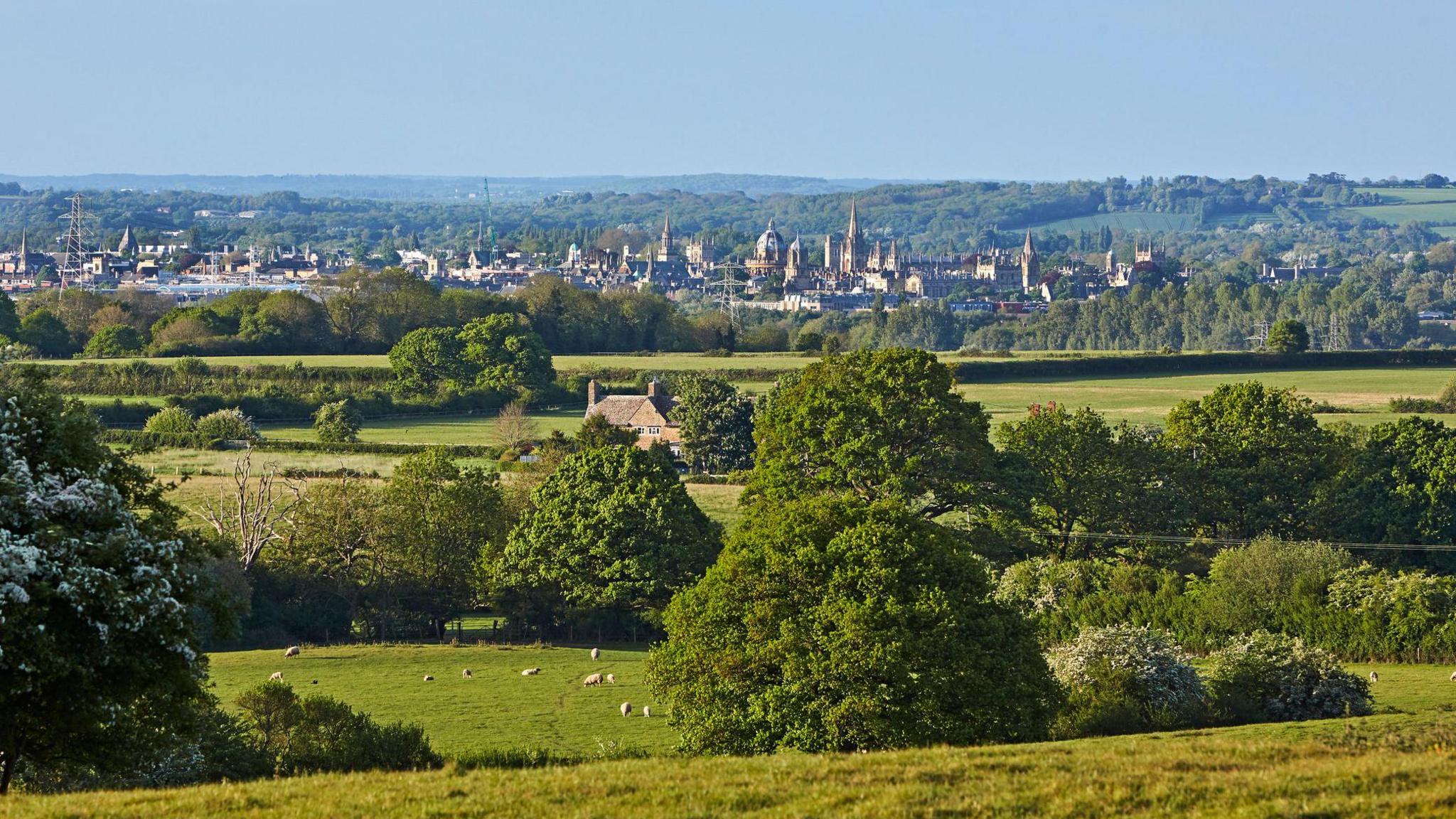 The historic Oxford skyline is in the distance, with green countryside and sheep grazing in the foreground. 