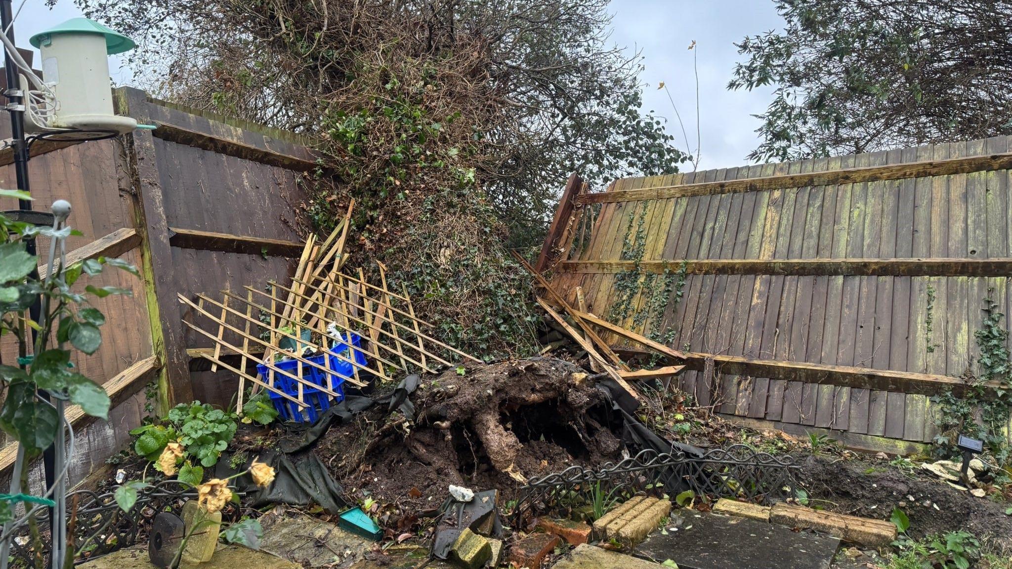 A damage to a fence caused by a fallen tree in the impact of the storm. The tree has been uprooted and has caused part of the wooden panel fence to collapse.