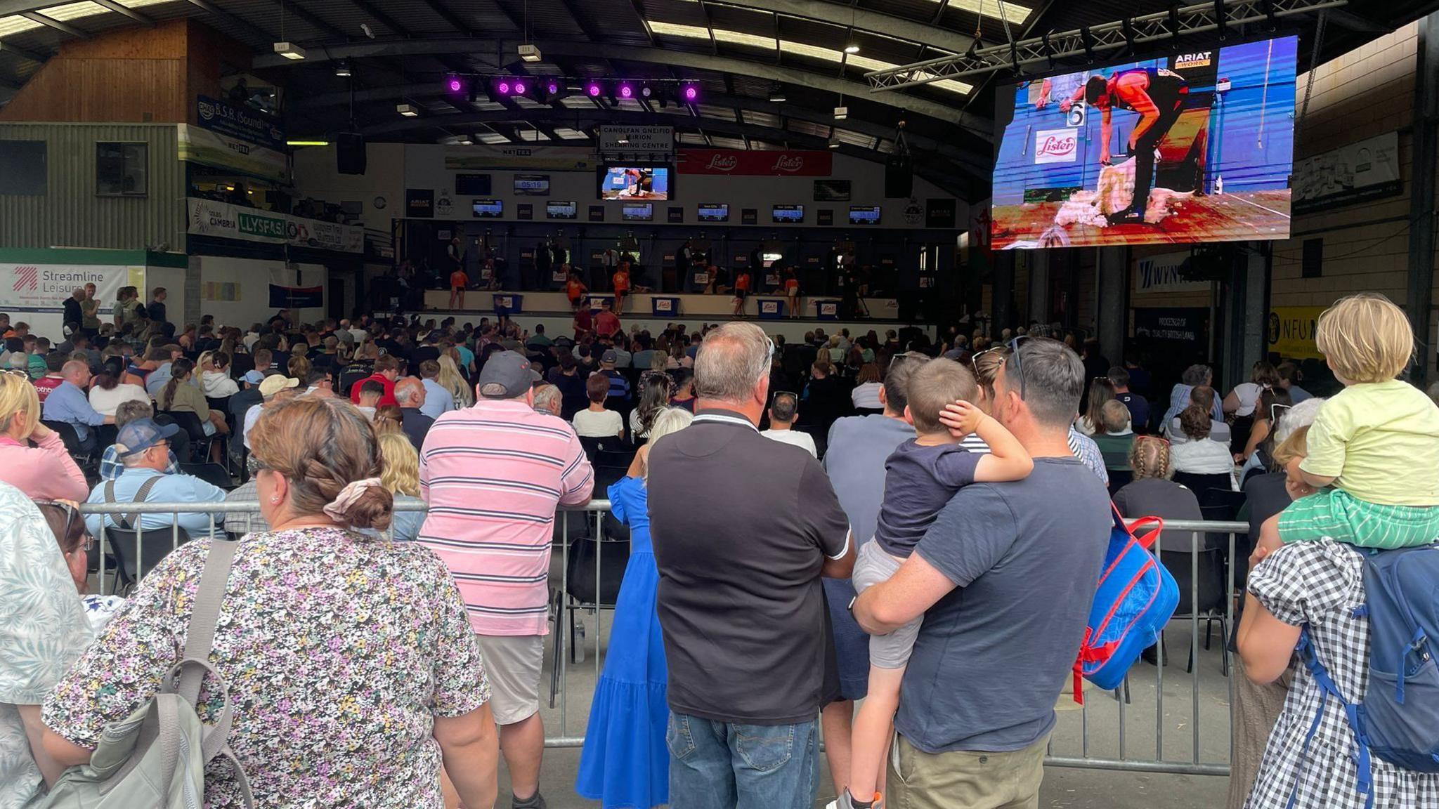 There are men on the stage sheering sheep with people sat down on chairs watching them. There is also a screen in the right corner above the crowds showing the competition for people watching behind the gates. 