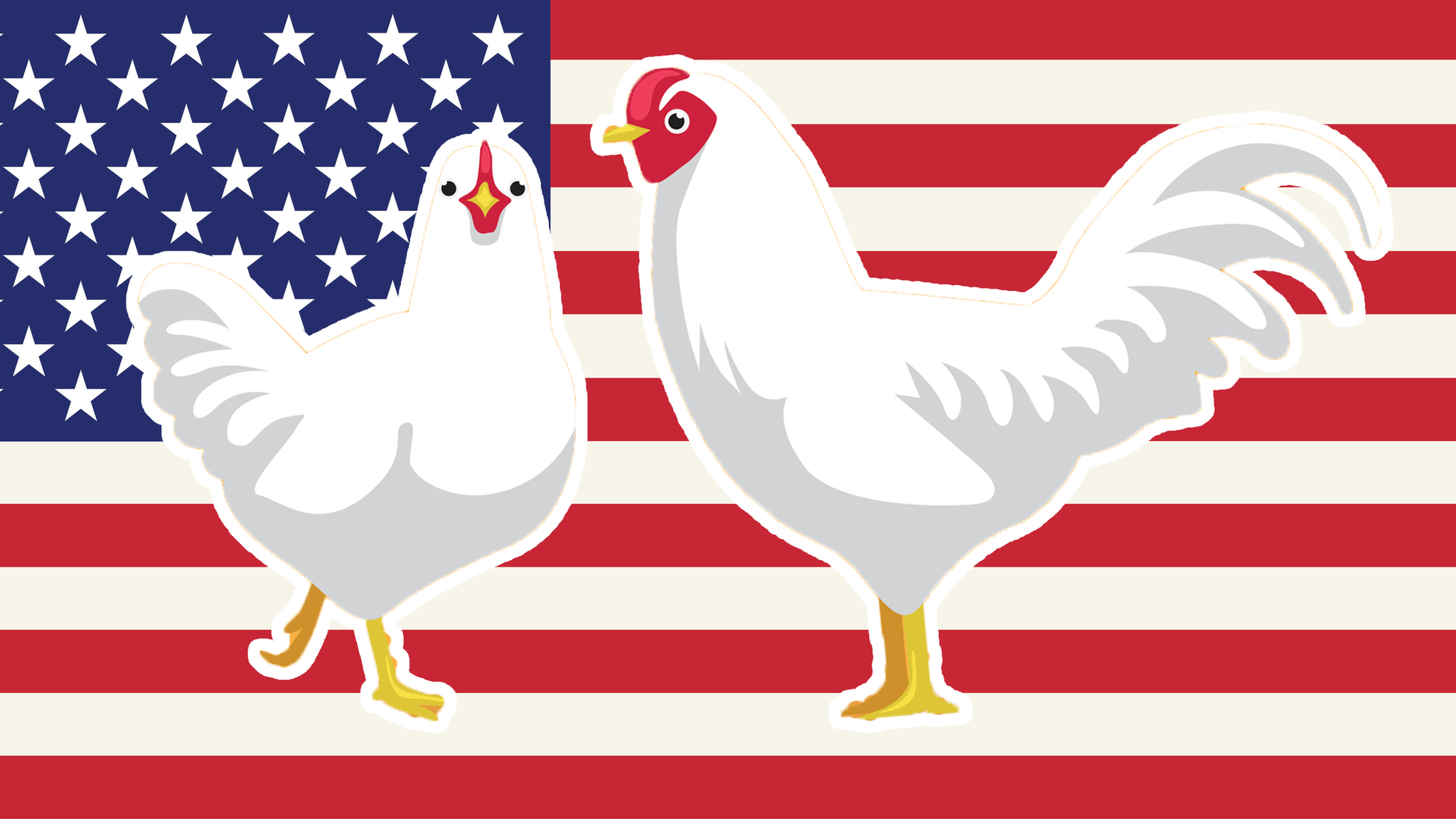 chicken-america-flag.