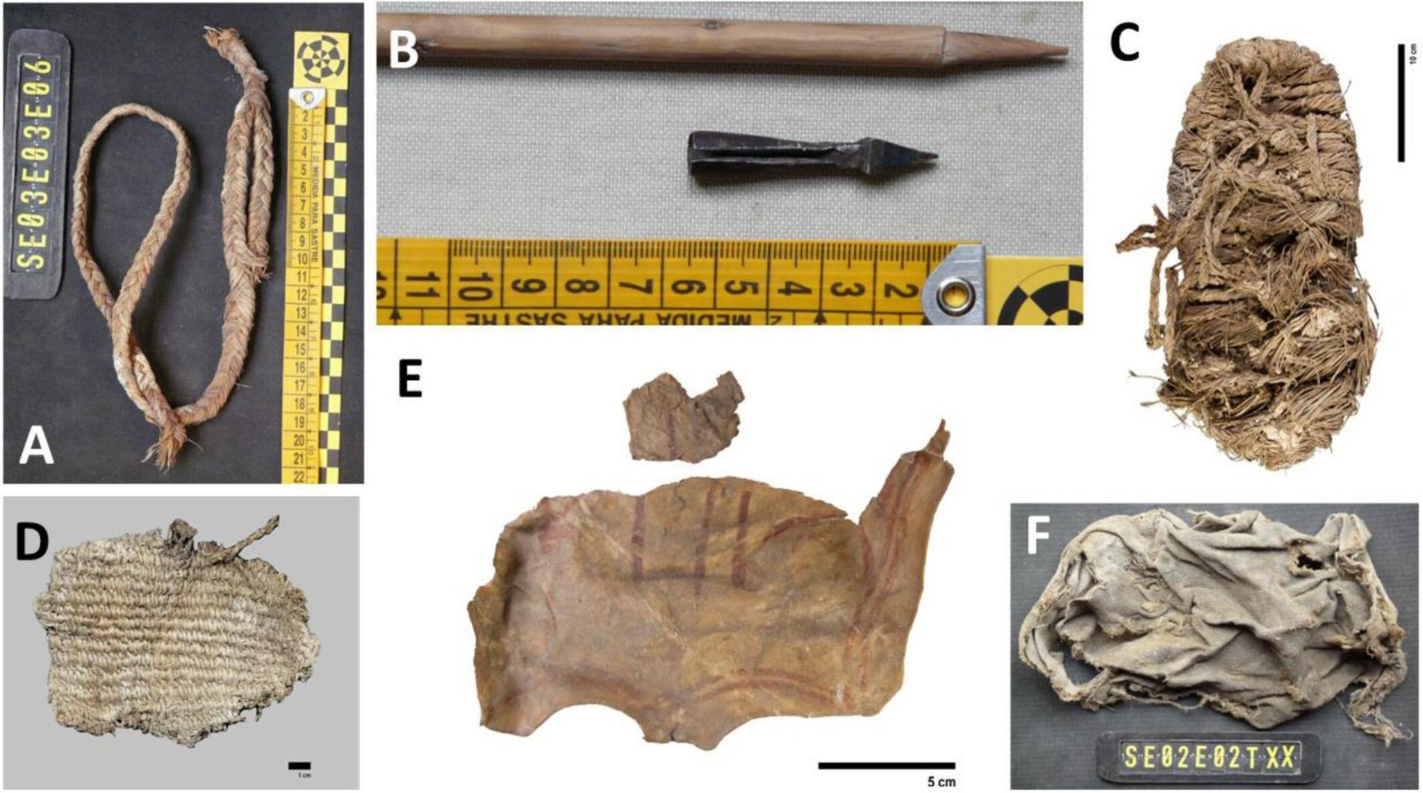 A collection of handcrafted materials found in ancient Bearded Vulture nests. (A) Part of an esparto grass slingshot. (B) A detail of a crossbow bolt and its wooden lance. (C) Agobía (Sierra Nevada, Granada), a rough footwear made of several species of grass and twigs, C-14 dated at 674 ± 22 years Before Present (ETH-138982). Agobías typically lasted for a few days of wear and were continuously repaired and replaced by hand by the wearer. (D) A basketry fragment C-14 dated at 151 ± 22 years Before Present (ETH-138980). (E) A piece of sheep leather C-14 dated at 651 ± 22 years Before Present (ETH-138981) with red lines drawn, and (F) a piece of fabric. Scale bars are in centimeters. Photographs: Sergio Couto (A, B, D, and F) and Lucía Agudo Pérez (C and E).