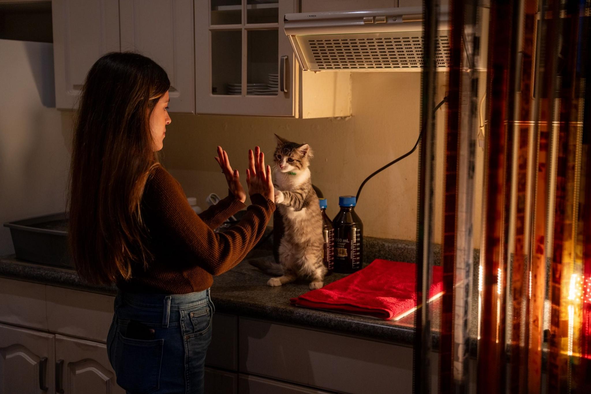 Lucía Ramírez high fives her cat Toto while waiting for the film to react with the chemicals..