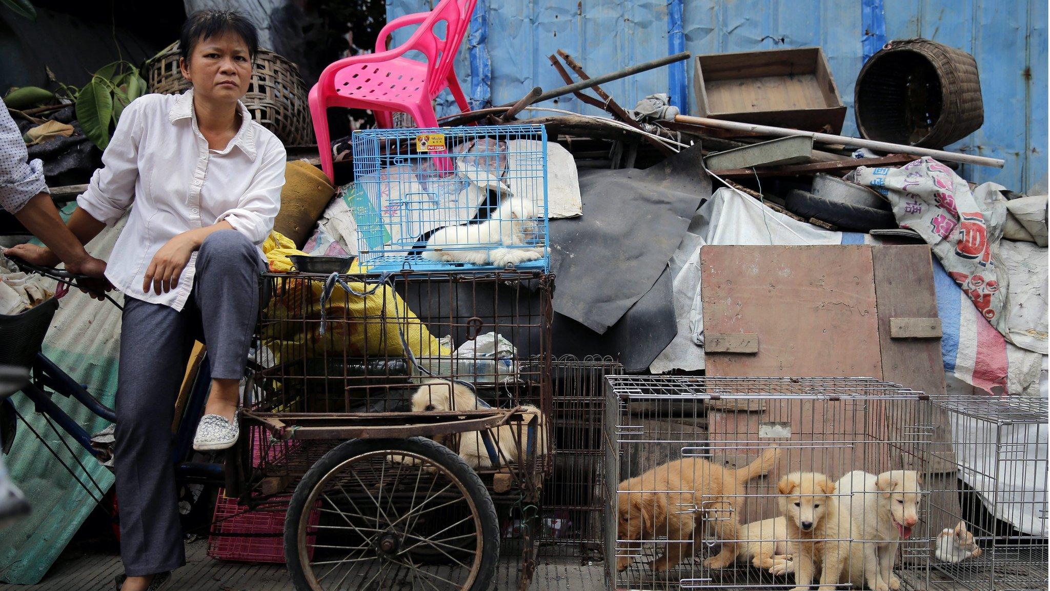 A vendor waits for buyers beside dogs for sale at a market in Yulin city, southern China"s Guangxi province, 20 June 2016.