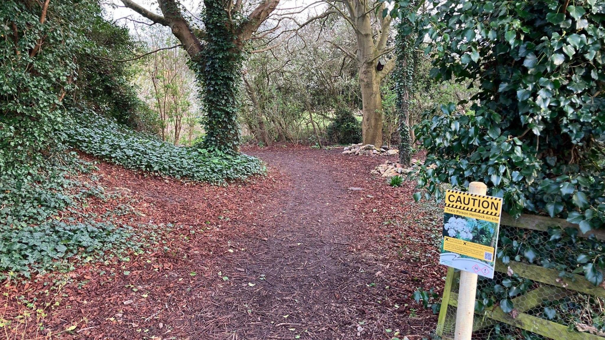 Caution sign warning against Hemlock plants in a wooded area