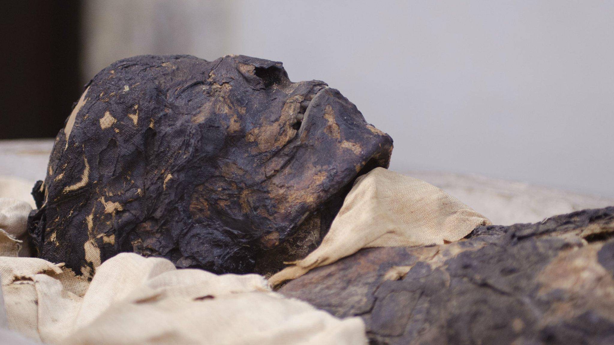 The mummy's head at Maidstone Museum