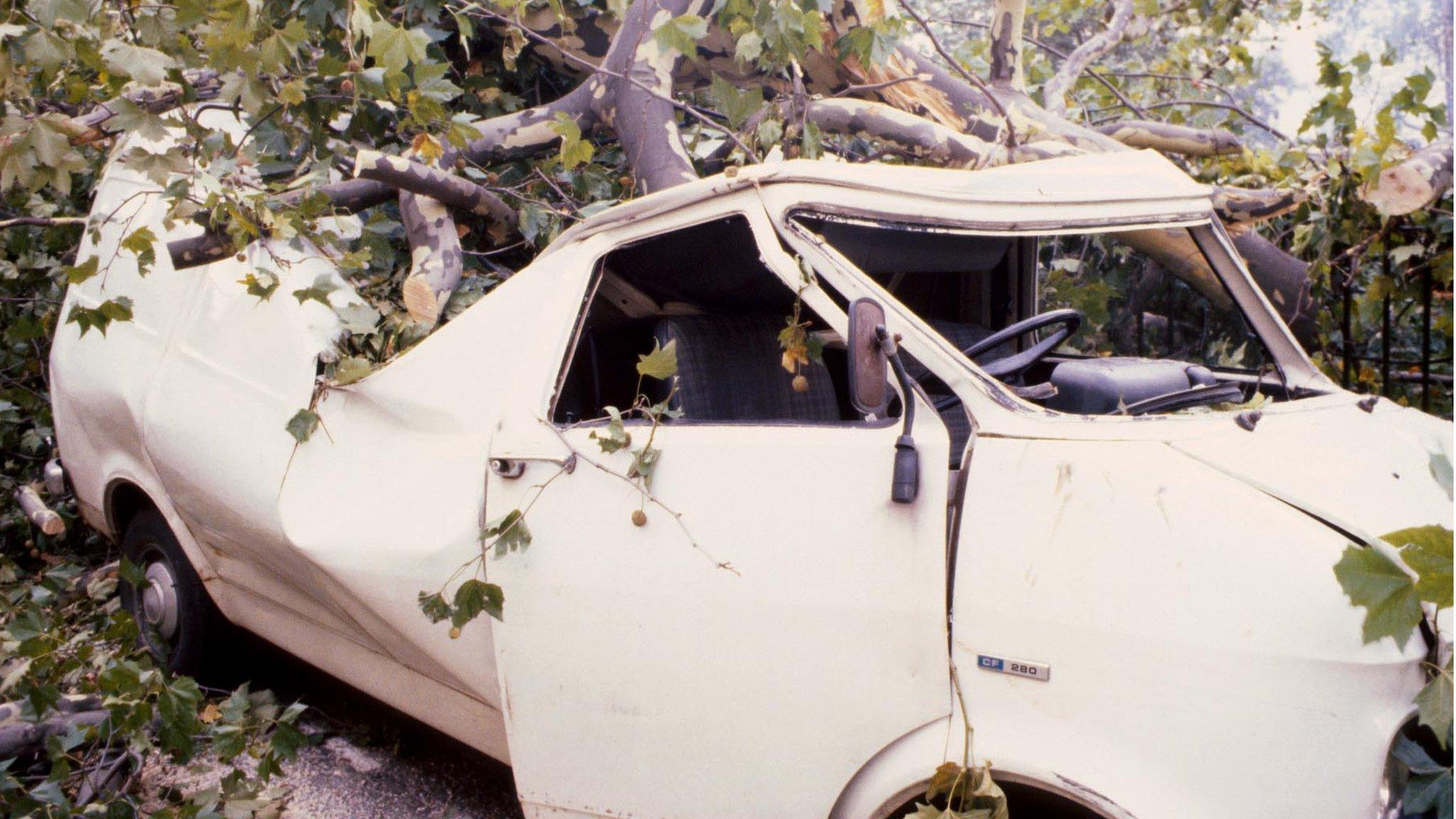 Van crushed by uprooted tree in London