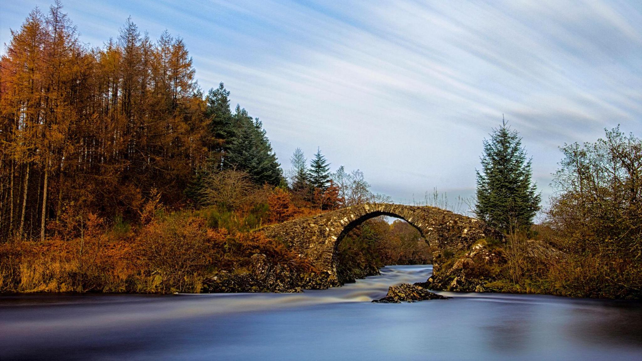 A small circular stone bridge over a river with trees growing on either side