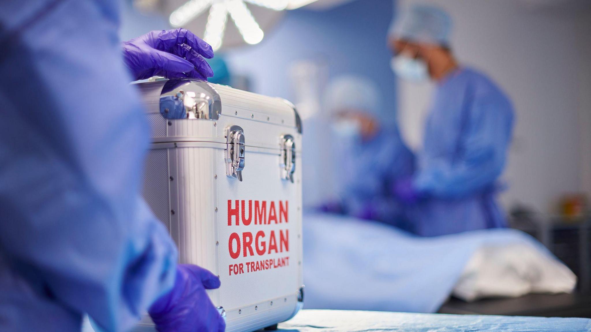 Organ transplant surgery - stock photo