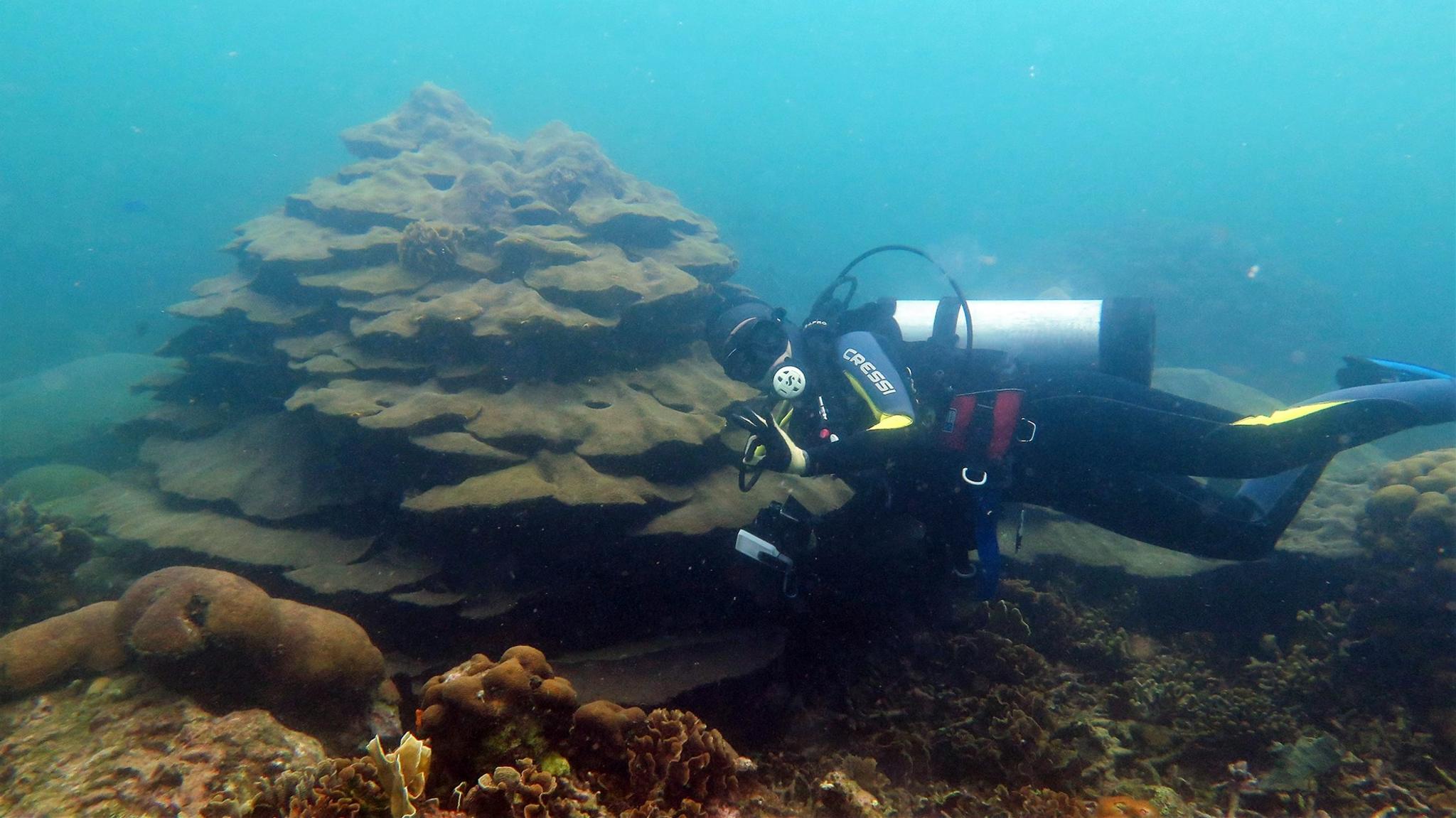 Valeria Pizarro diving down to the Varadero reef