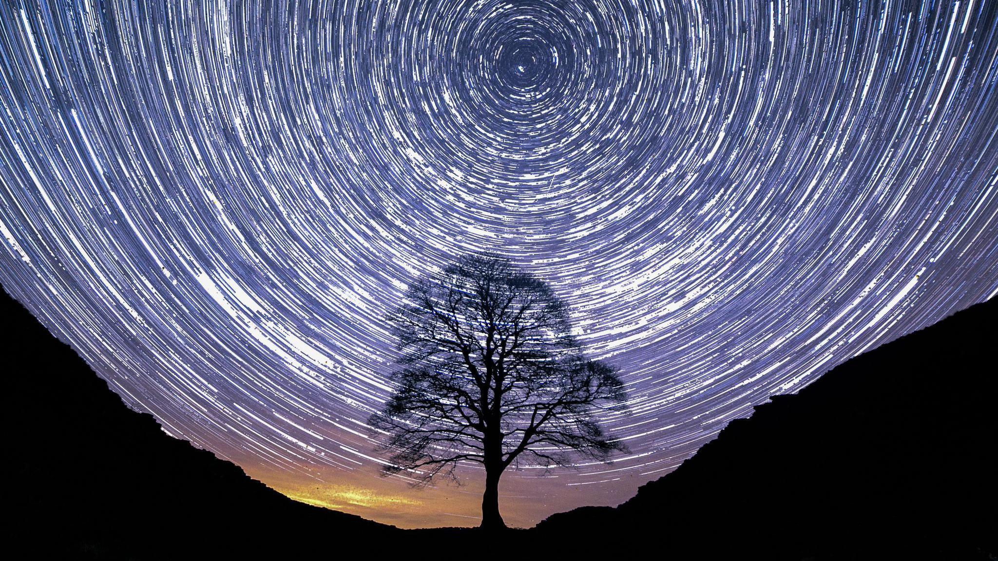 A timelapse at night showing circles of white stars on a dark purple sky behind the silhouette of a tree