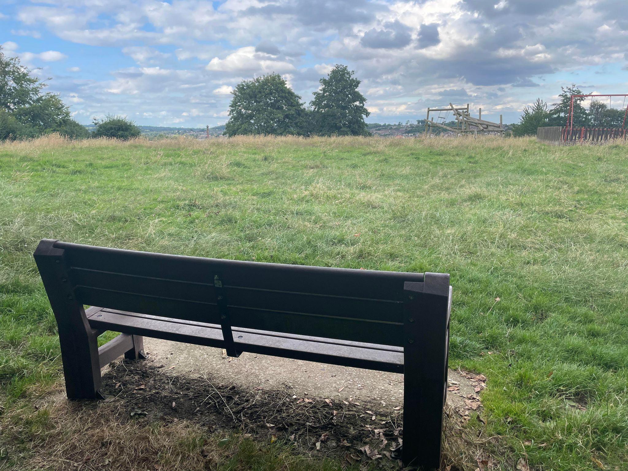 Bench overlooking long grass