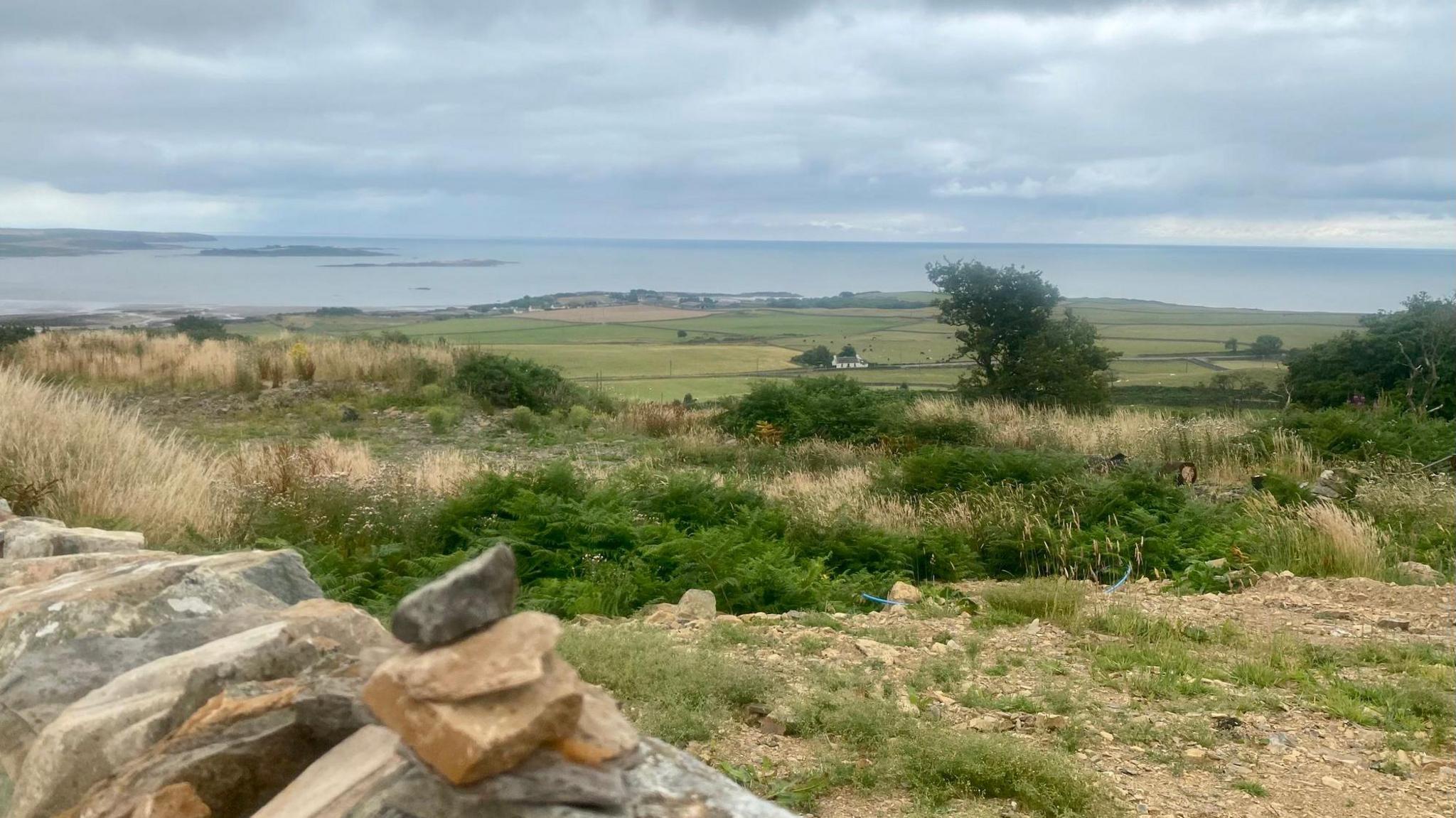 A glorious Galloway landscape with a stone wall in the foreground, open fields, trees and a view out to the sea on a cloudy day