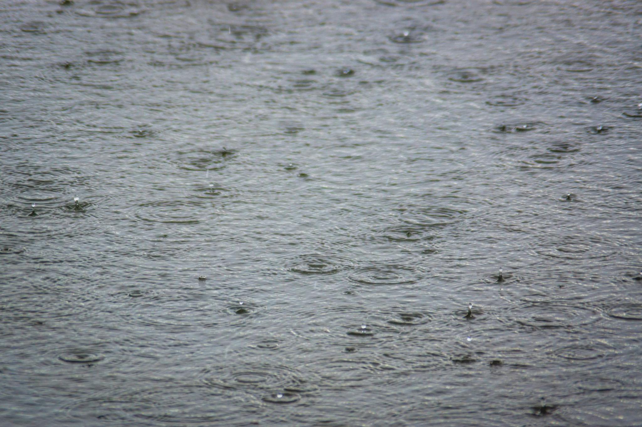 Droplets of heavy rain on water