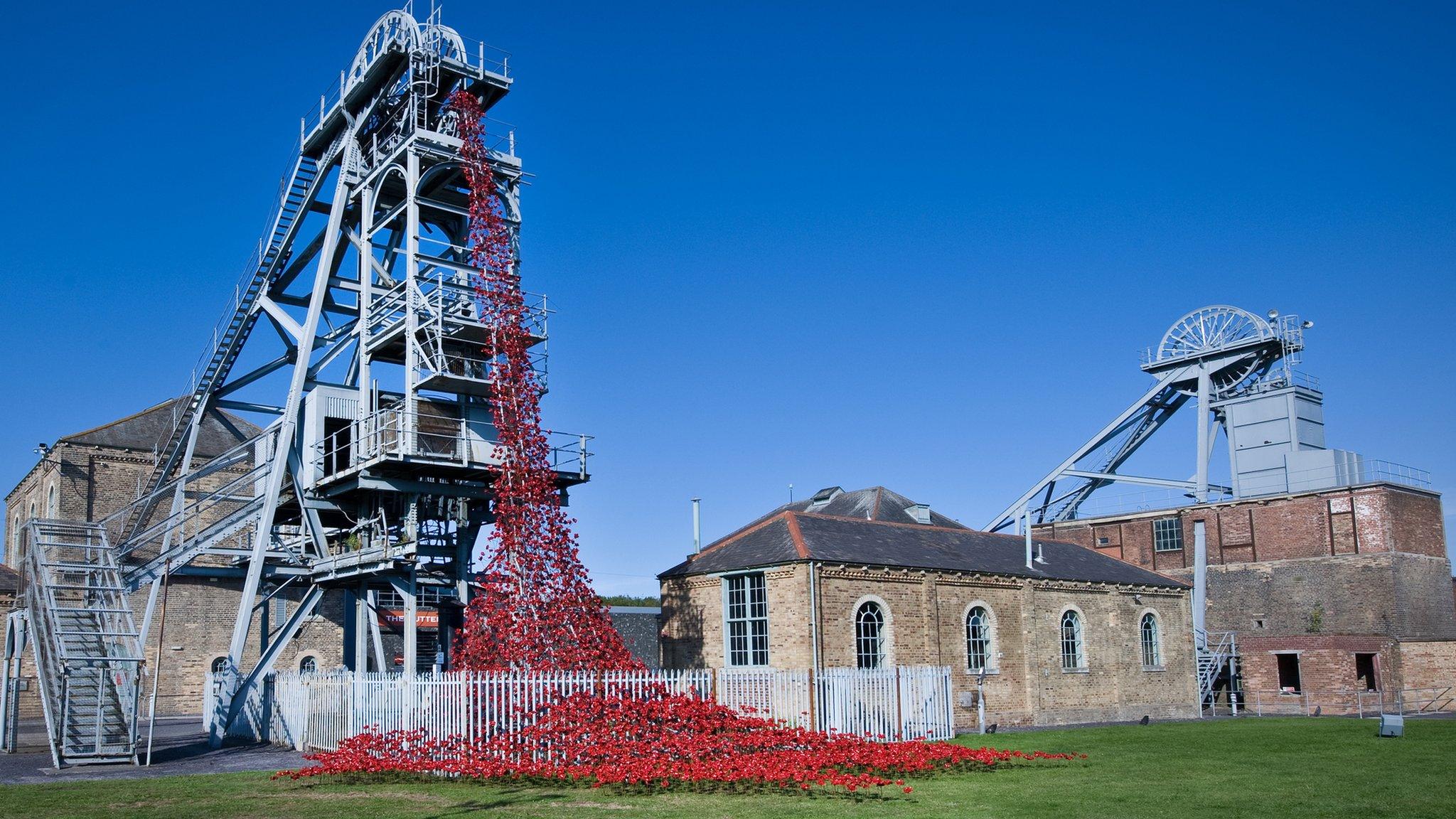 Poppy cascade